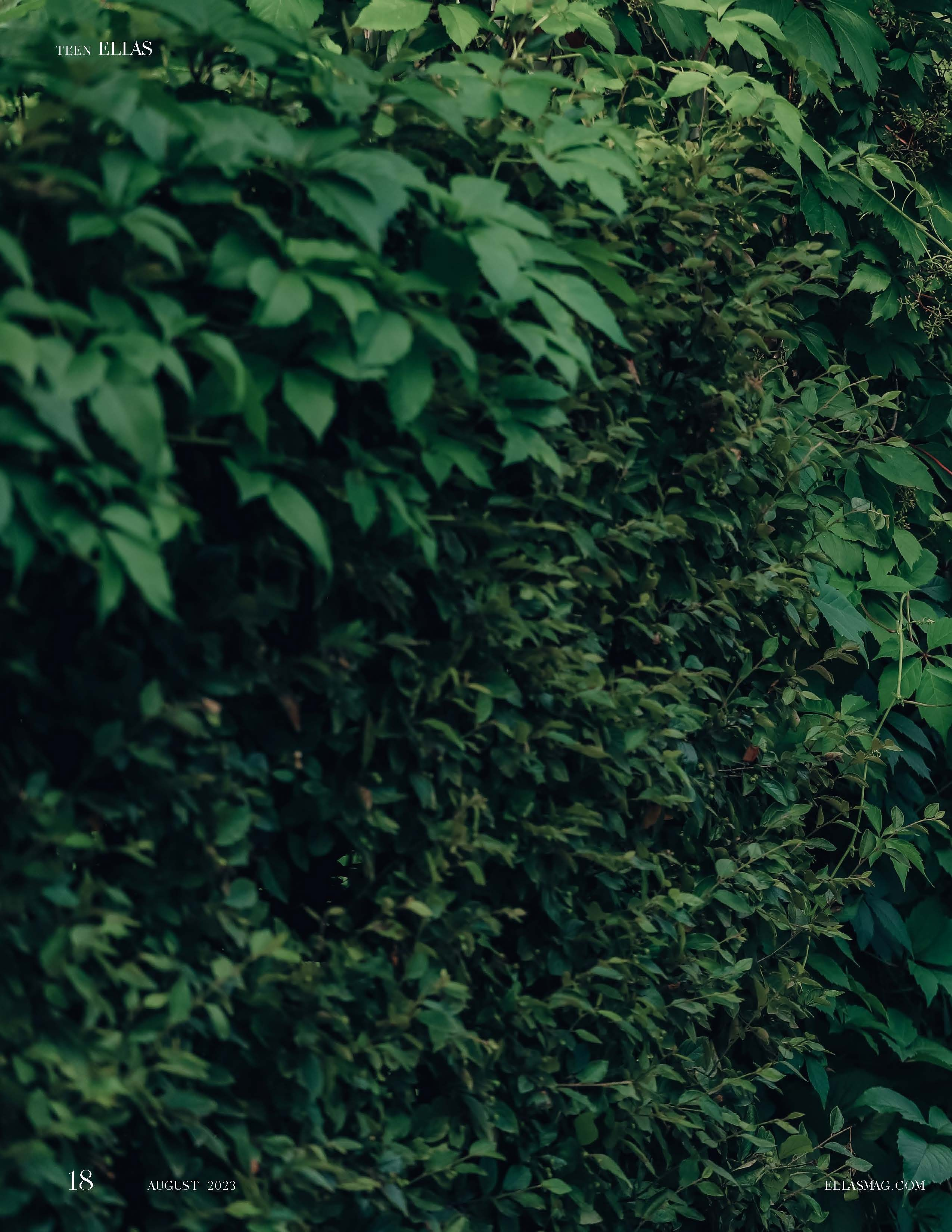 Журналы и публикации. Семейный и детский фотограф Эльвира Билибина