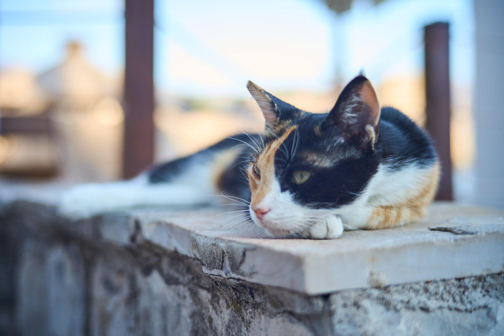 Черногория, сентябрь 2024. Фотограф, Римма Невинская