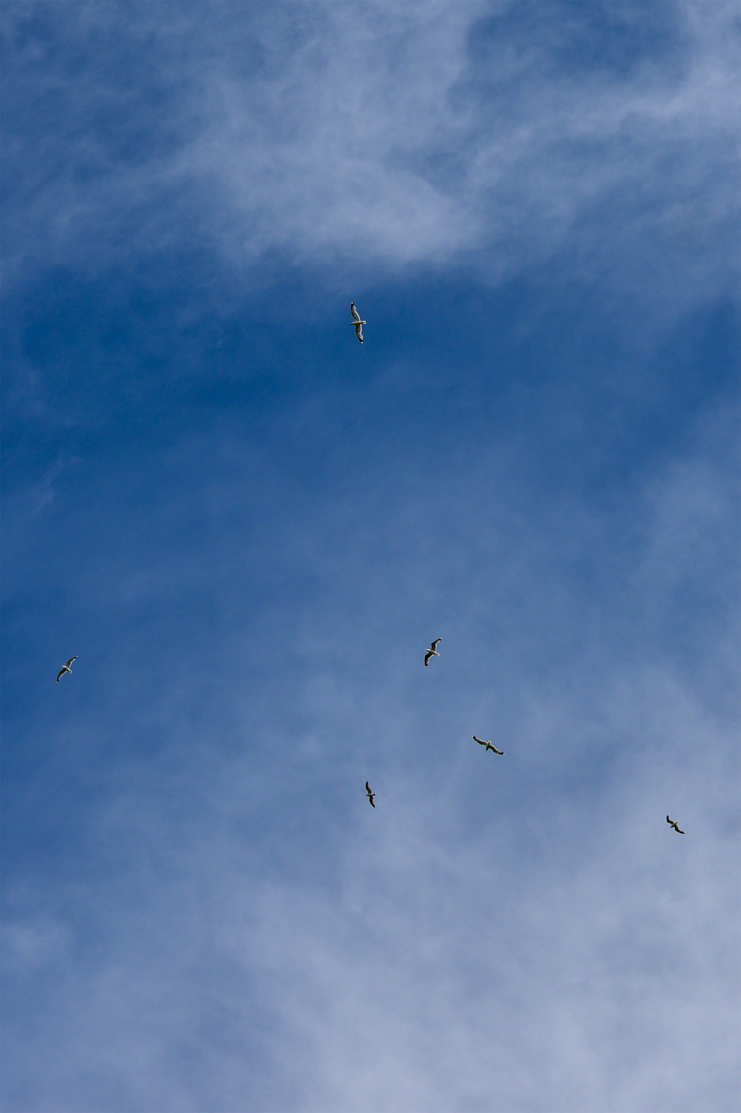 Пейзажики. Фотограф из Боровска в Калужской области