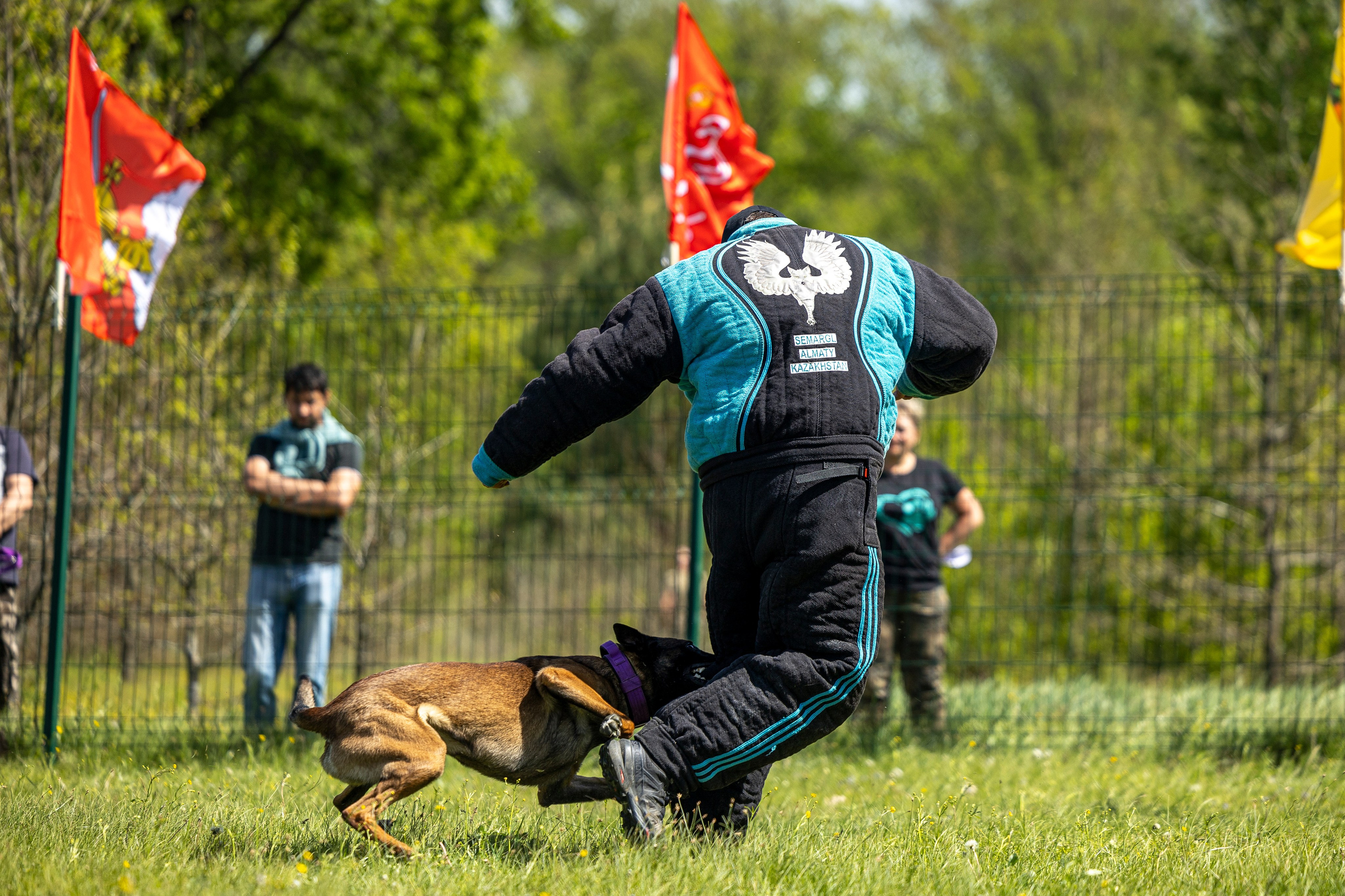 Испытания по мондьорингу в Нижнем Новгороде. Фотограф-анималист Анна Маринич