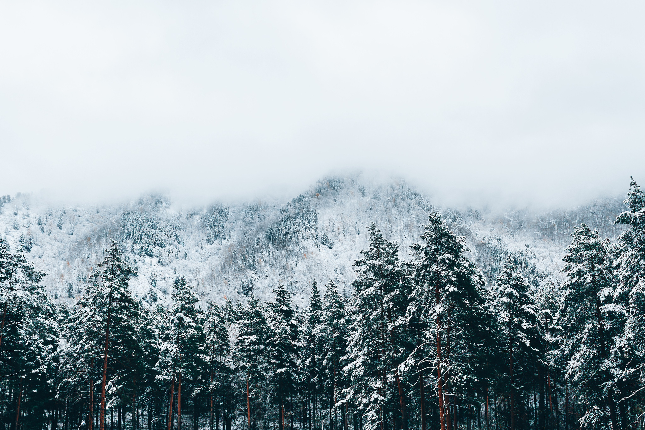 Фотографии Горного Алтая. Фотограф в Новокузнецке