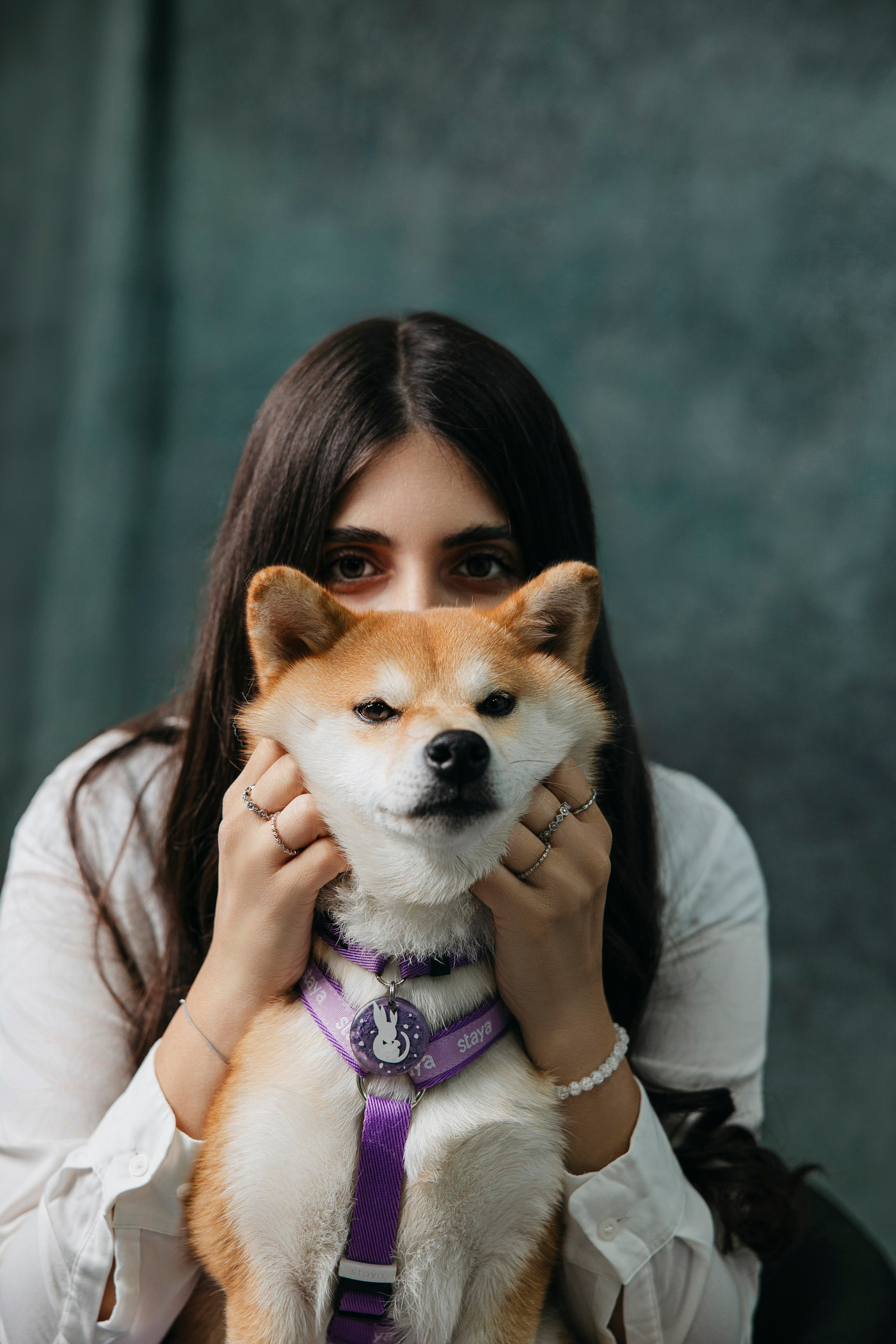 Съемка в студии с собакой. Анастасия Белаш