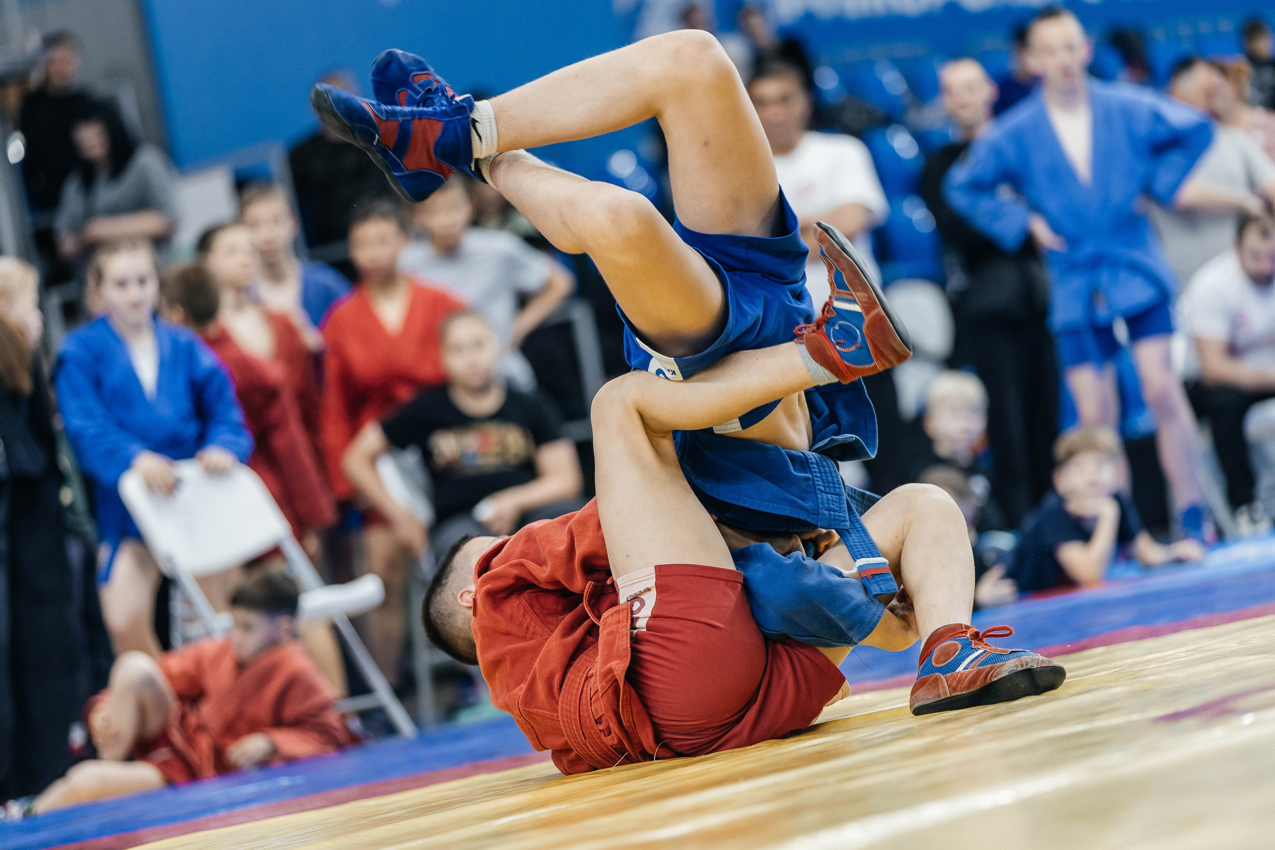 Sambo Championship. Maxim Tsoy Photography