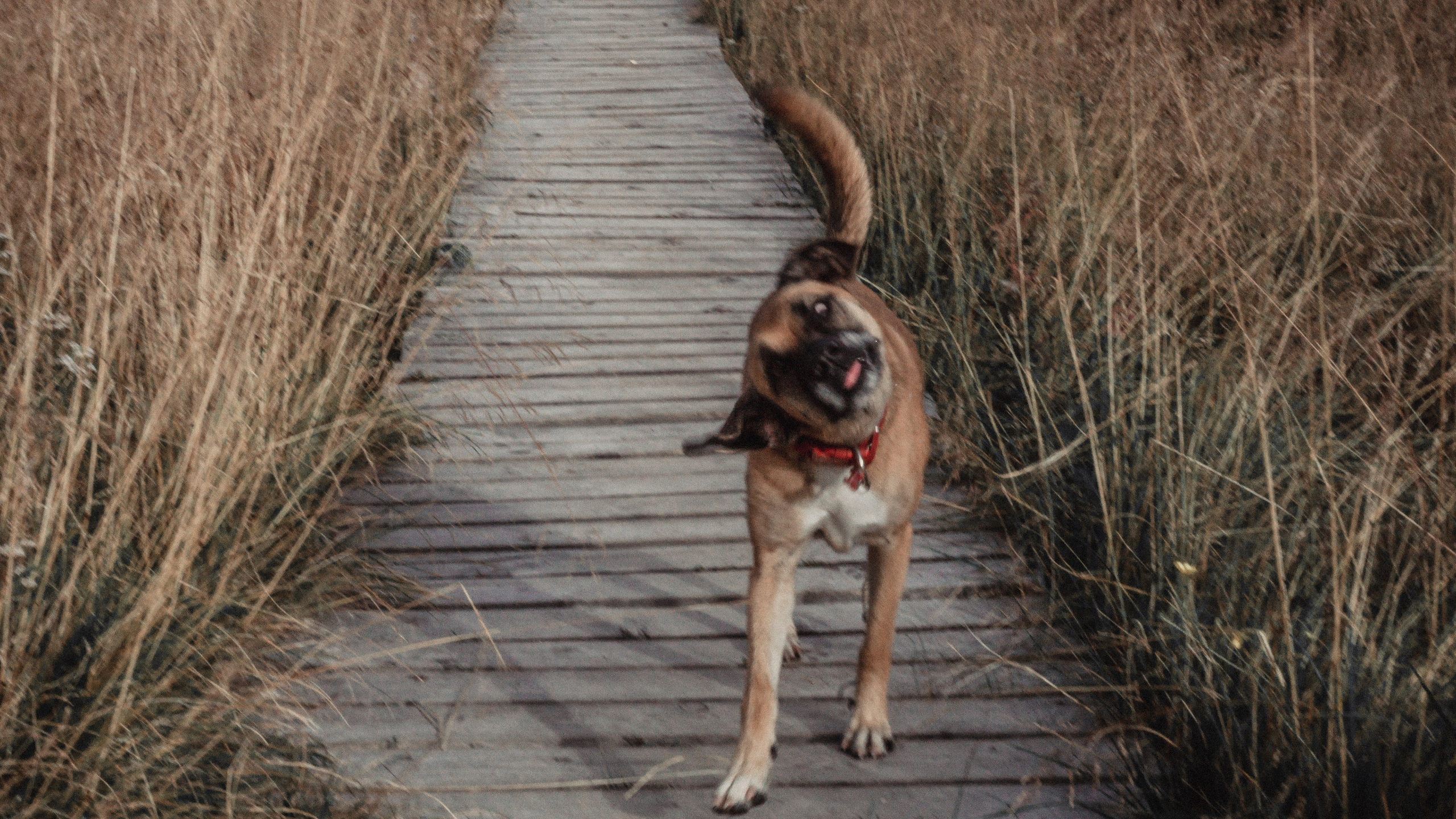 EXHIBITION. Репортажный и интерьерный фотограф, фотохудожник