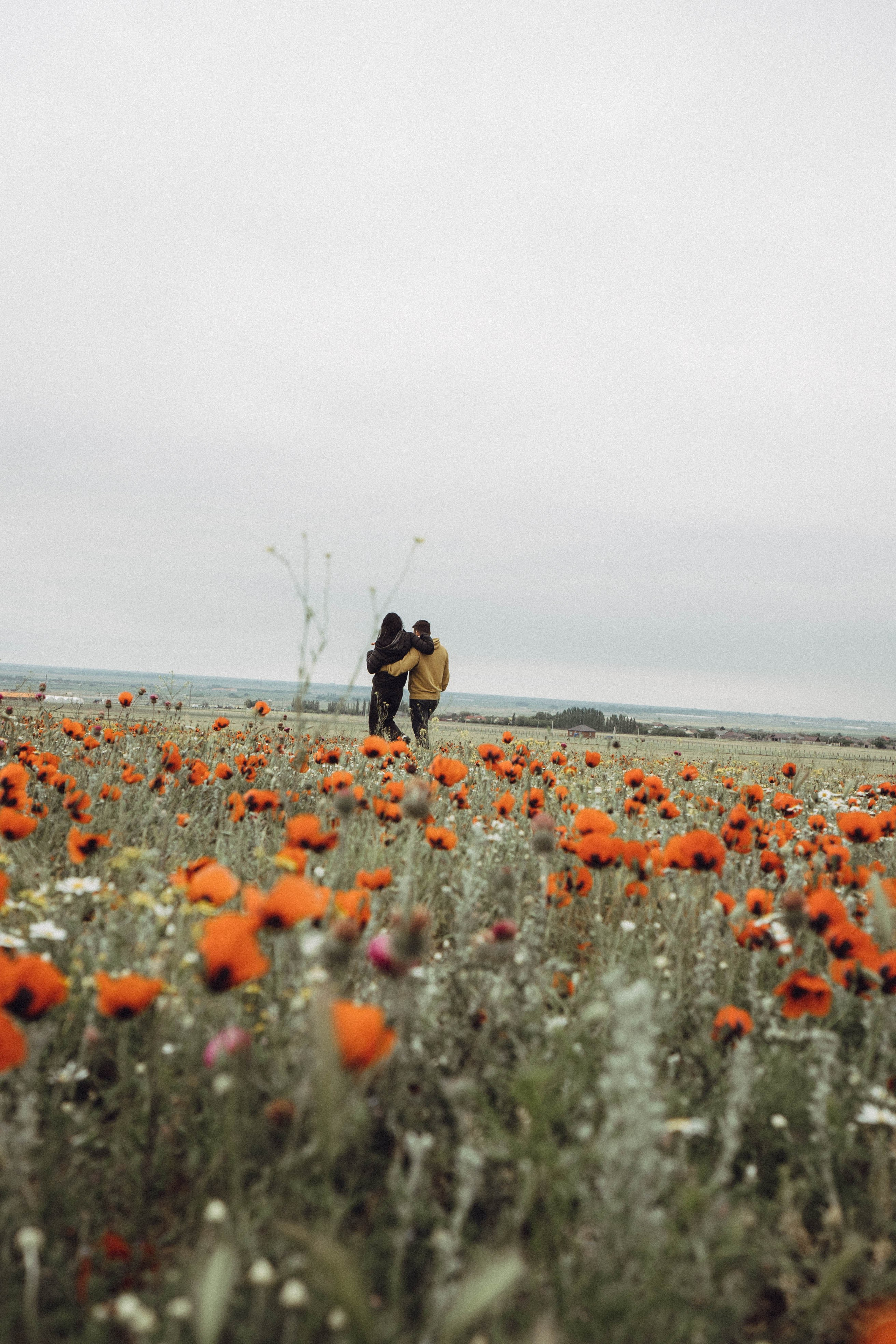 Любовь в маковом поле. Профессиональный фотограф, Санкт-Петербург — Виктория Богомолова