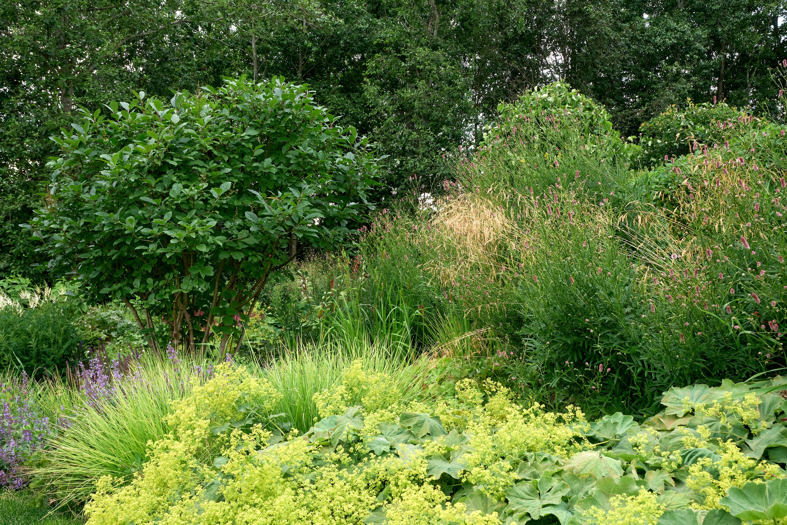 Ландшафтный и интерьерный фотограф Наталья Соловьева. Фотосъемка частного сада в&nbsp;Ломоносовском районе для ландшафтного дизайнера Анаит Акопян и&nbsp;студии ВСЕВСАД | interioto