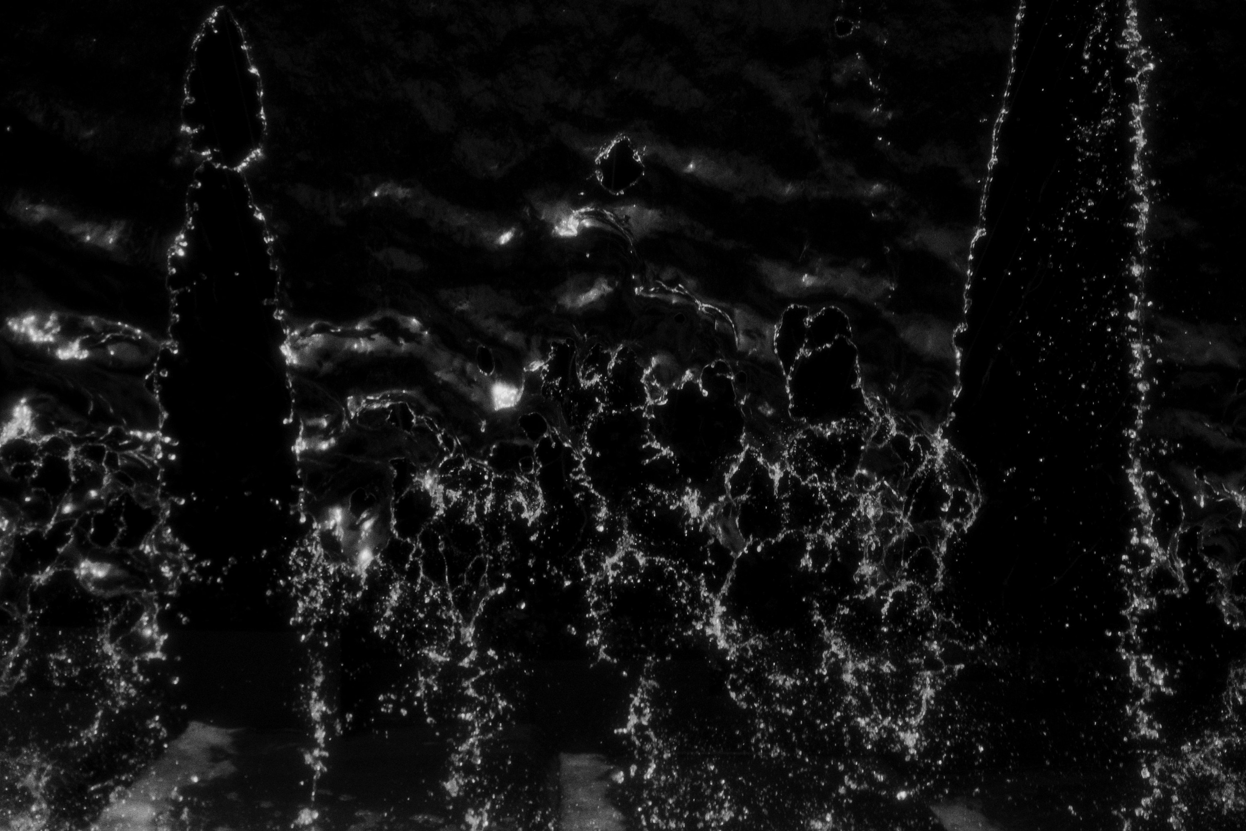 T/r the roots II. Фотограф Юрин Евгений