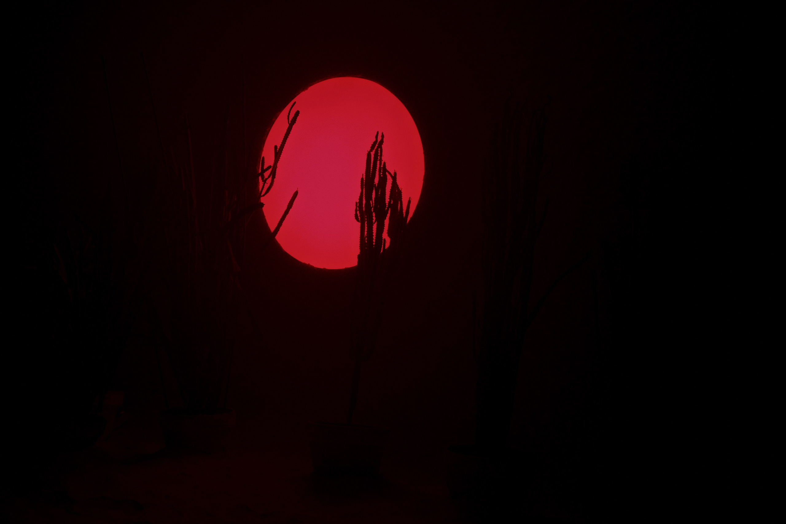 Garage MCA / “Грядущий мир: экология как новая политика. 2030–2100”. Фотограф Юрин Евгений