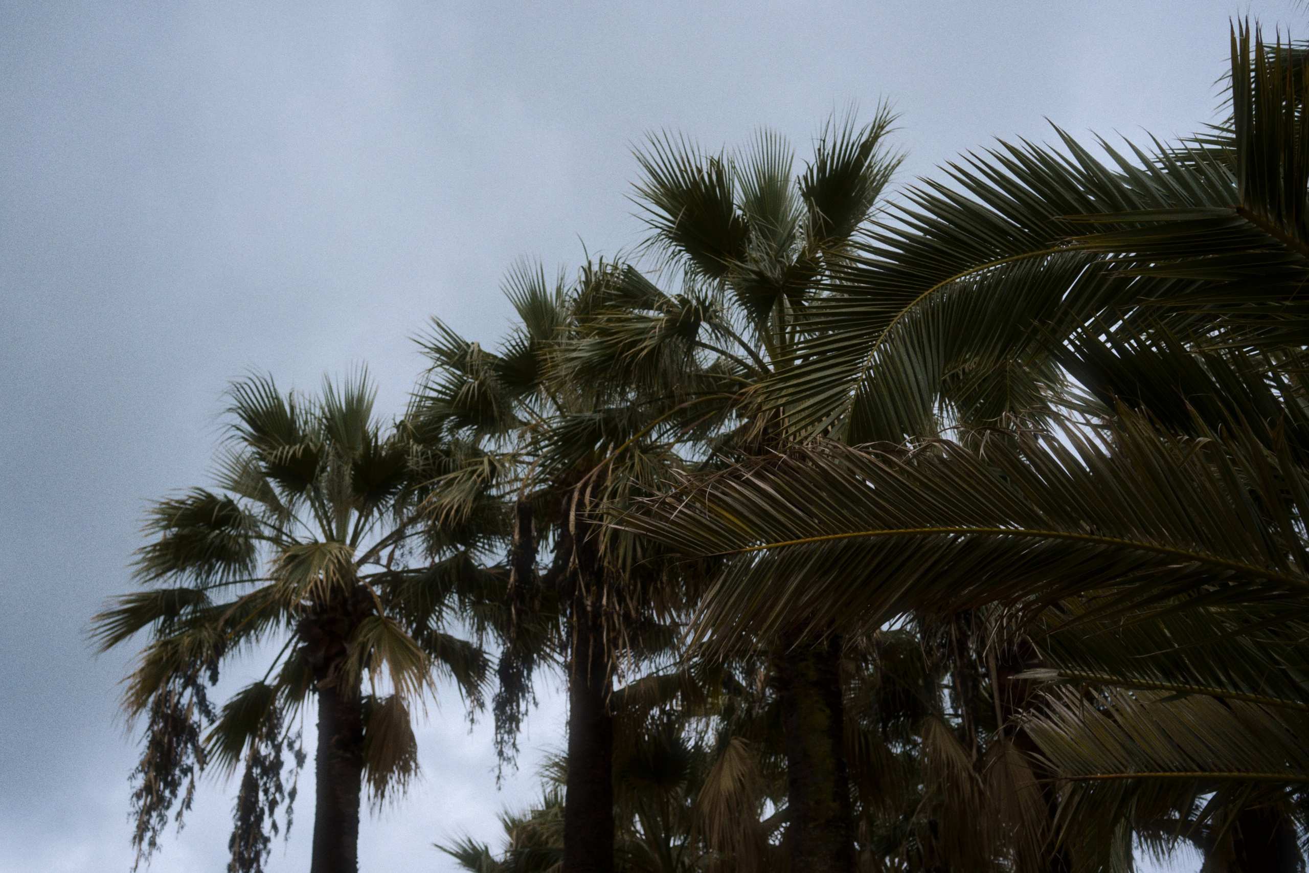 Sochi port (morskaya). Фотограф Юрин Евгений