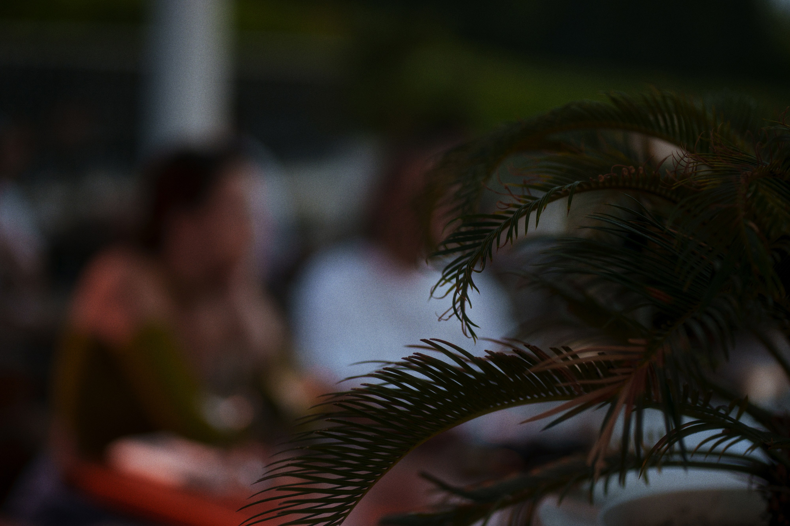 Café krasnodar х co-co chalet. Фотограф Юрин Евгений