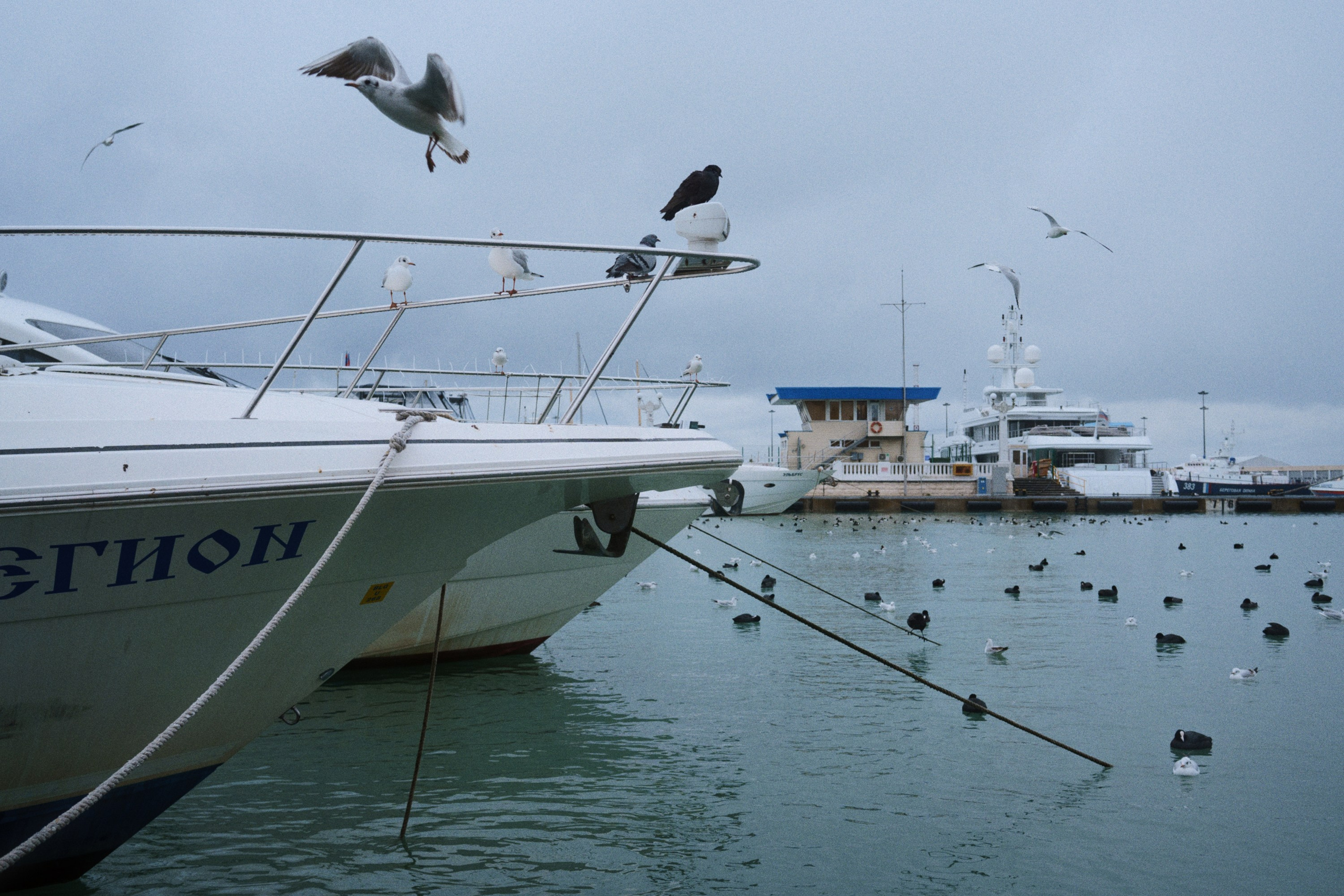 Sochi port (morskaya). Фотограф Юрин Евгений