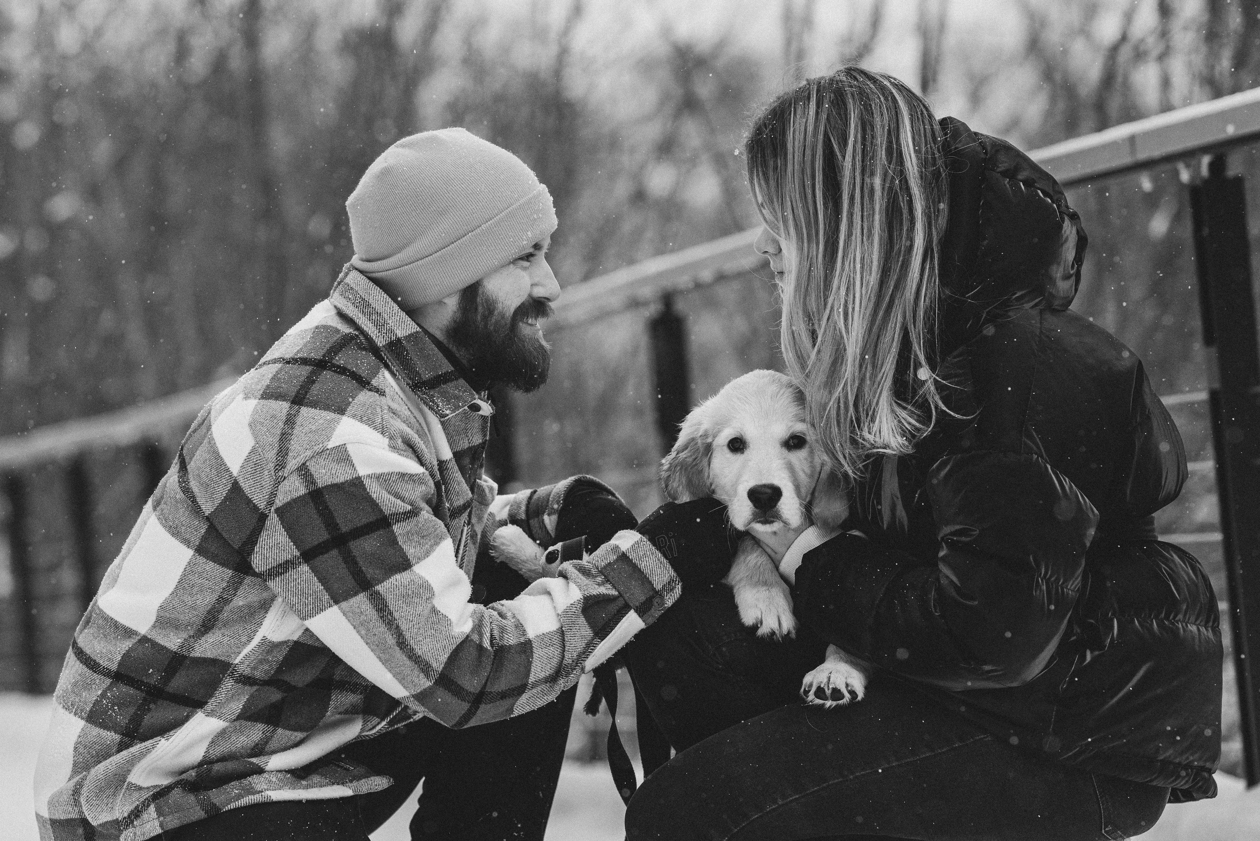 Sonia, Denis & Baggi. Natalia Finch Photography — Family, Kids & Pet Photographer in Chicago, IL