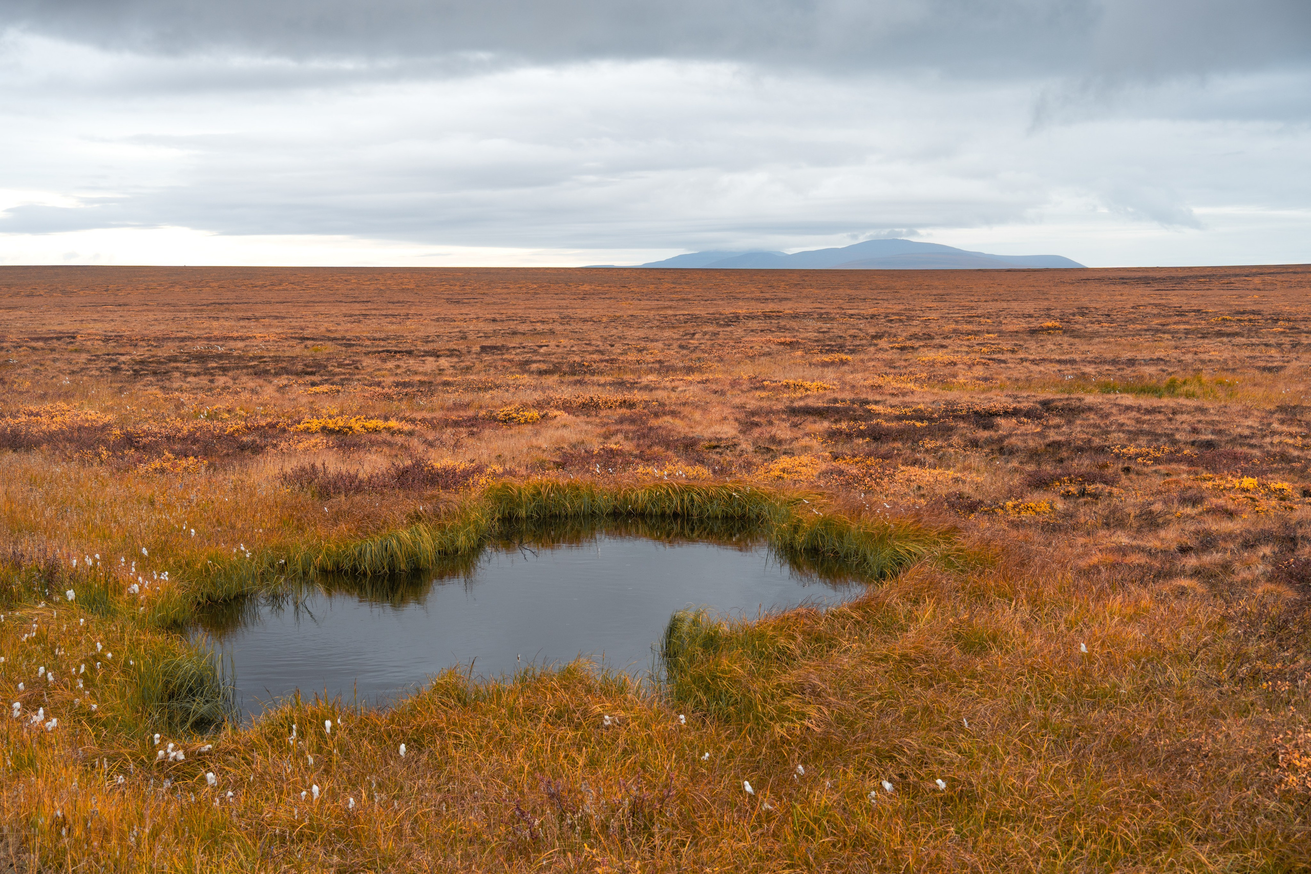 Чукотка. Gusarov Travel Photography
