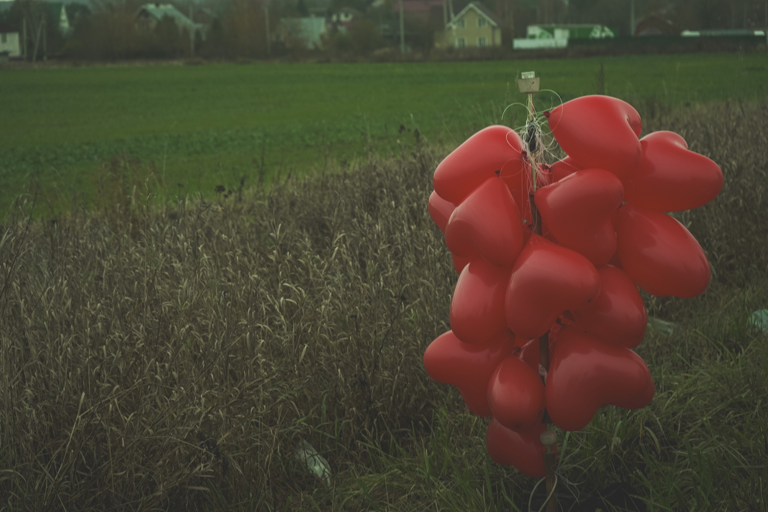 За кадром — КФ " Я женил своих родителей ". Beardy Pix