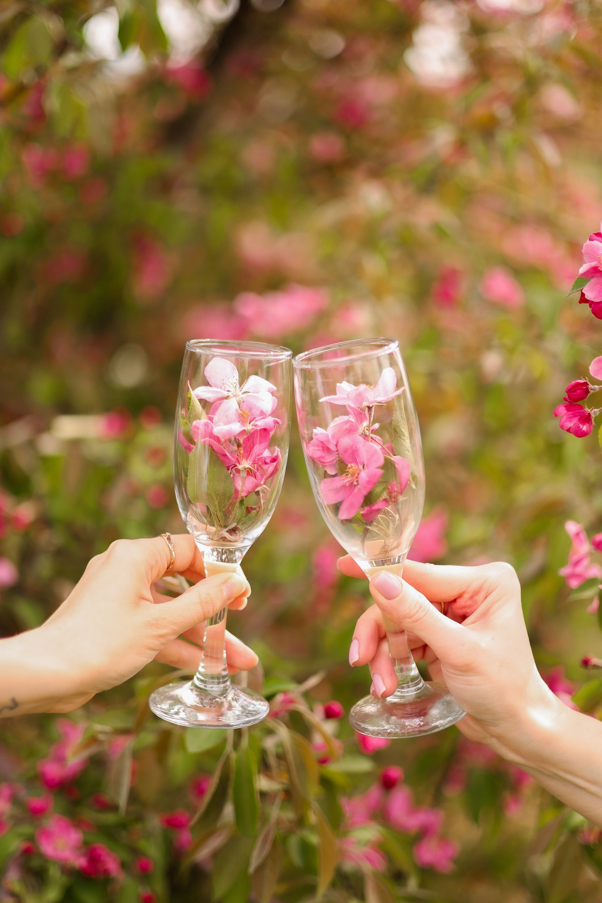 Индивидуальная фотосессия. Ваш семейный фотограф