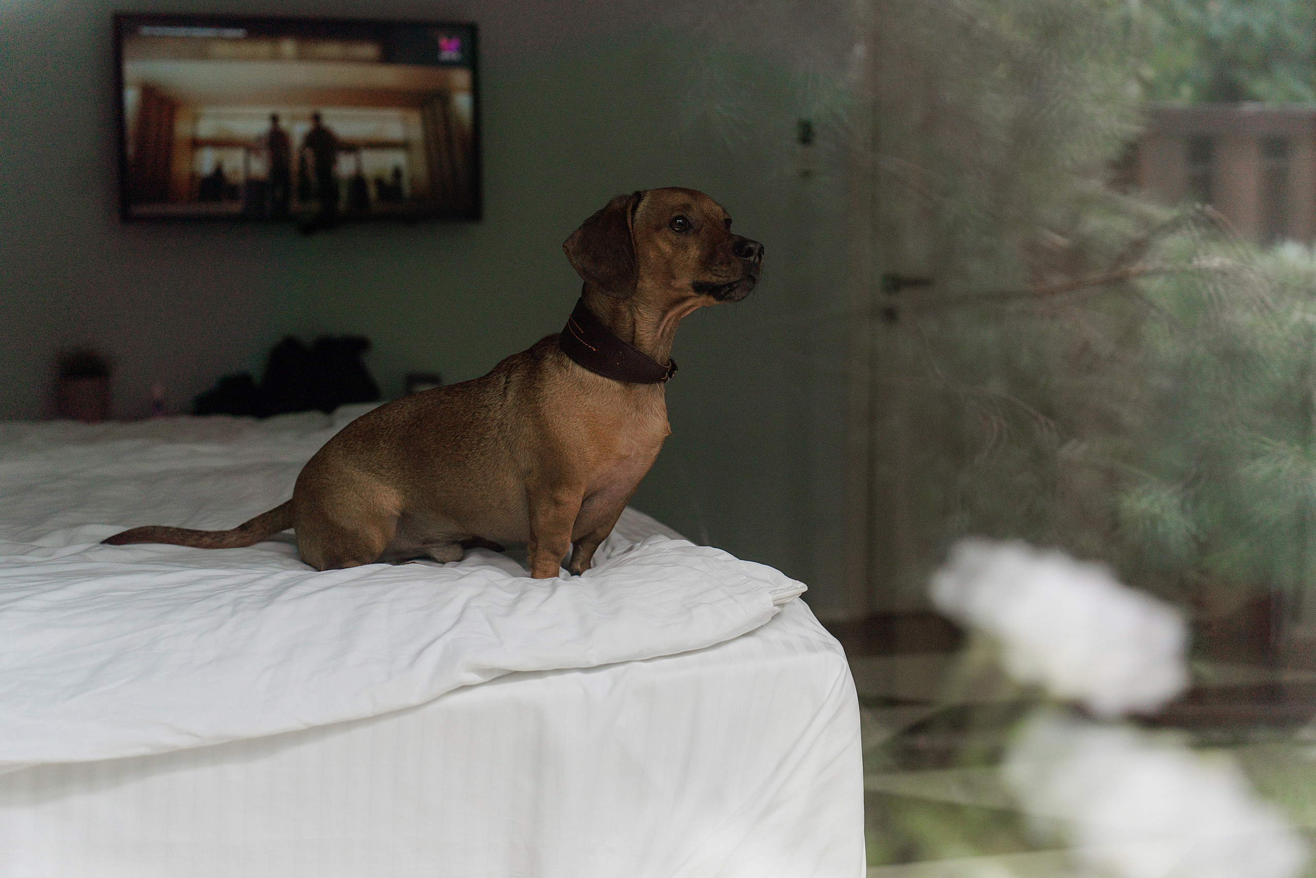 Клкллкаккк. Свадебный фотограф