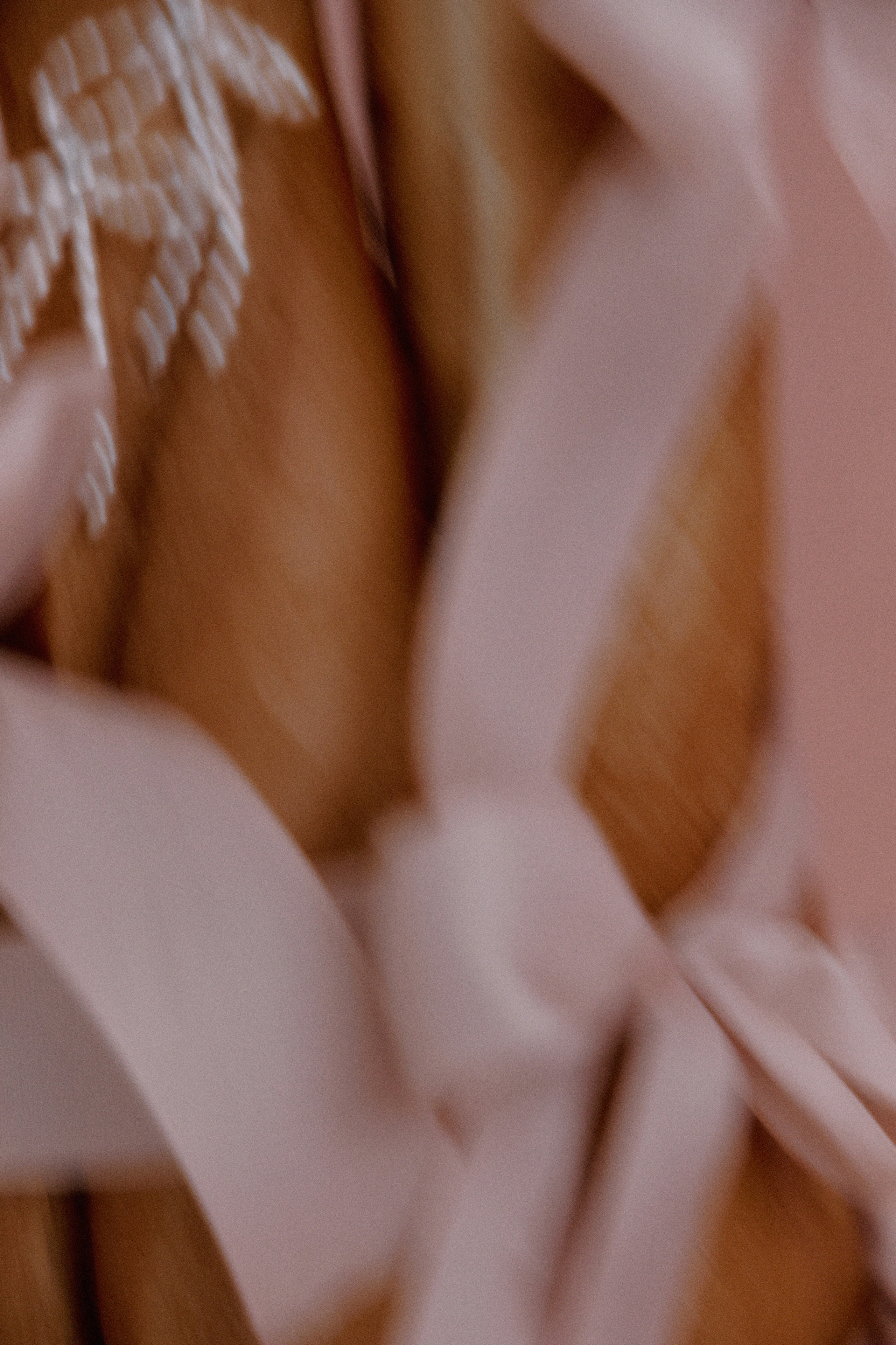 Банты. Фотограф Елена Краснопевцева