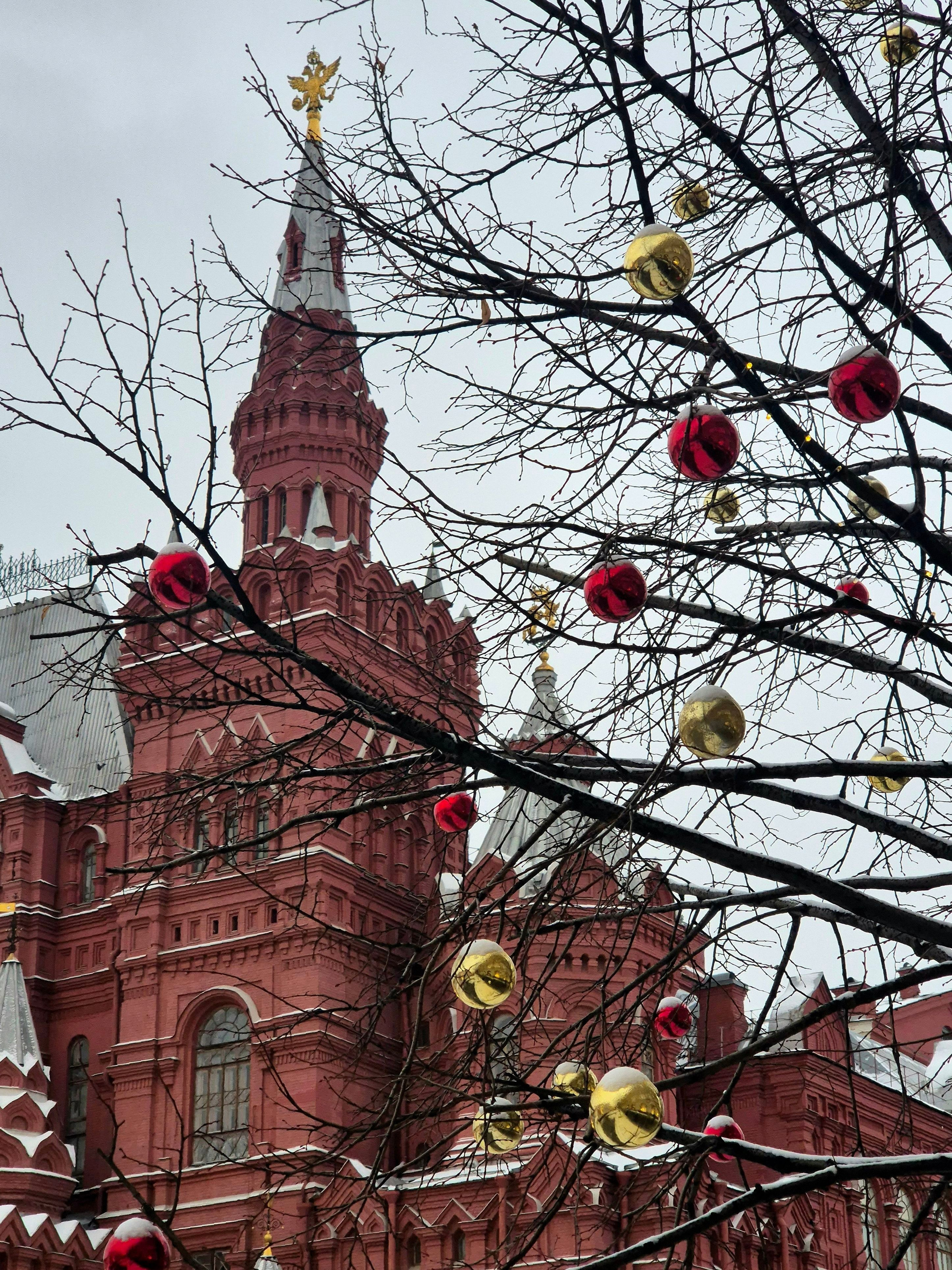 Украшены игрушками не только елки, но и просто деревья