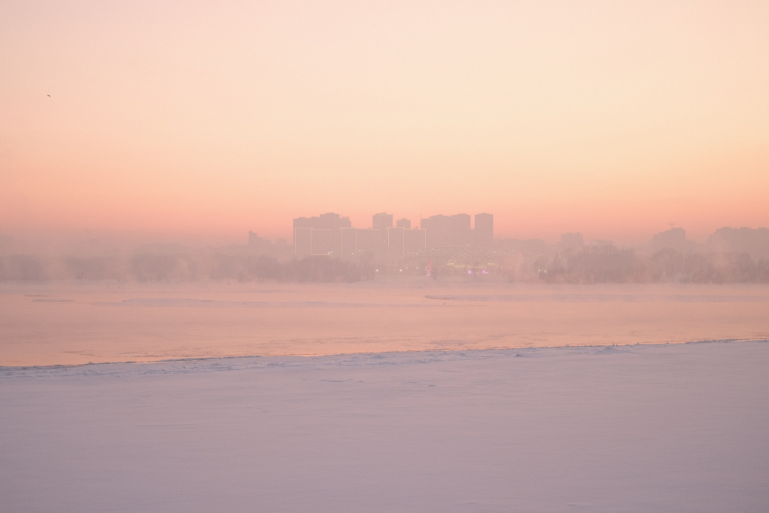 Наблюдения. Семейный фотограф в Новосибирске Артём Кузнецов