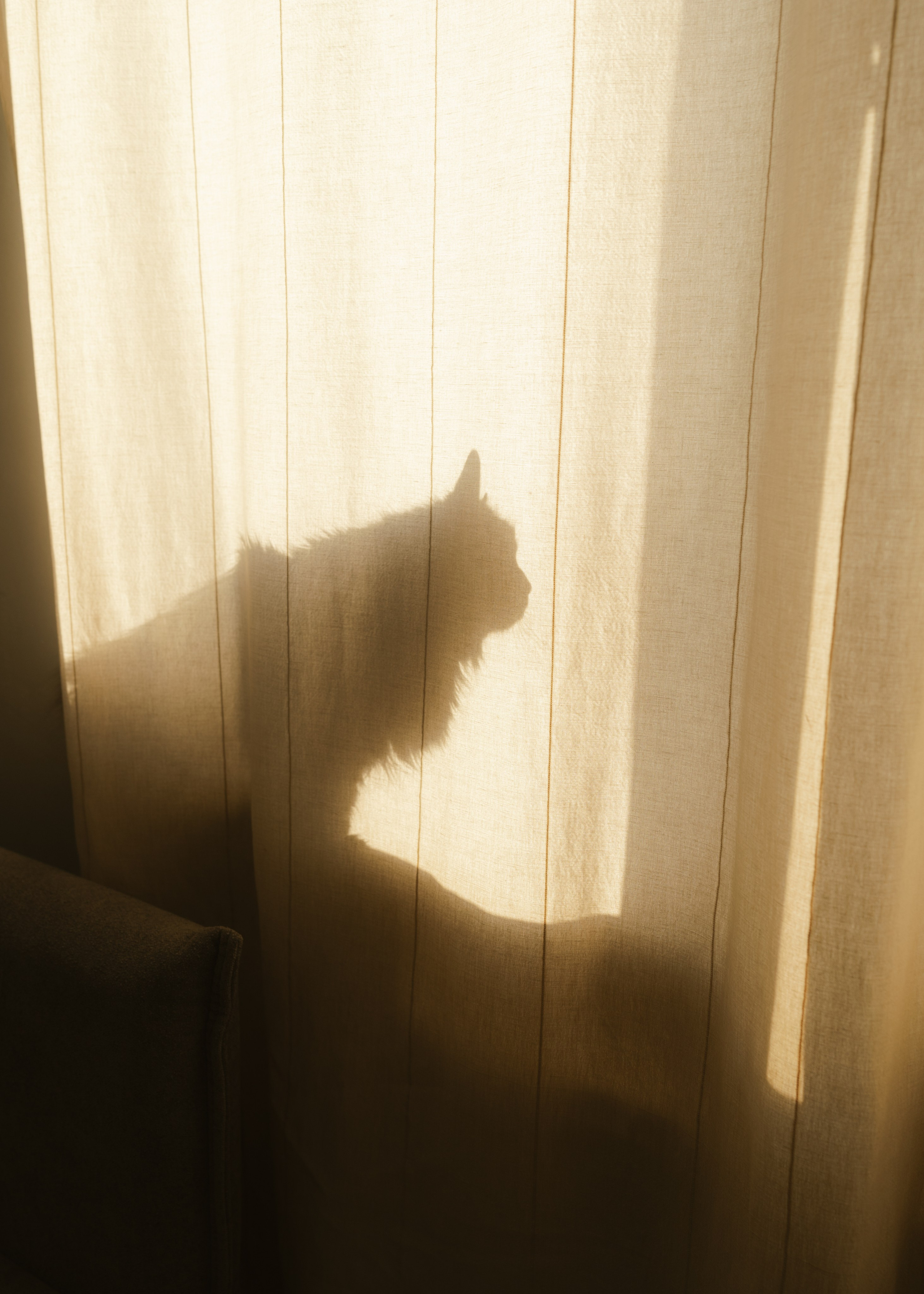 Катя и Андрей | домашняя. Фотограф в Новосибирске Диана Ильиных