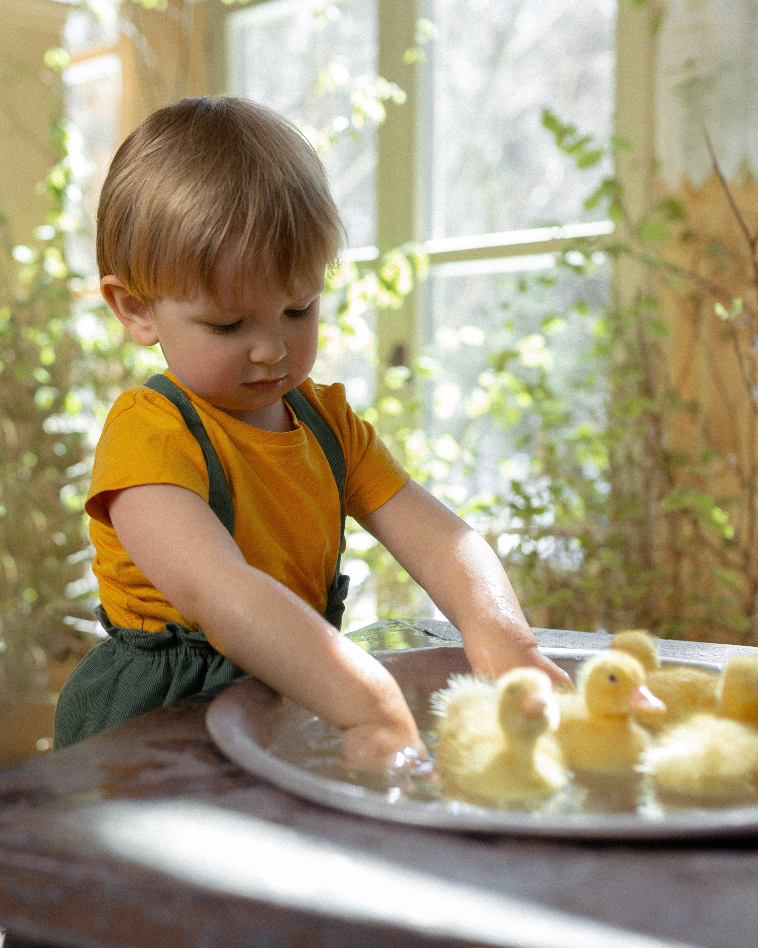 СЕМЕЙНЫЕ СЪЕМКИ. Фотограф Вики Дежавю