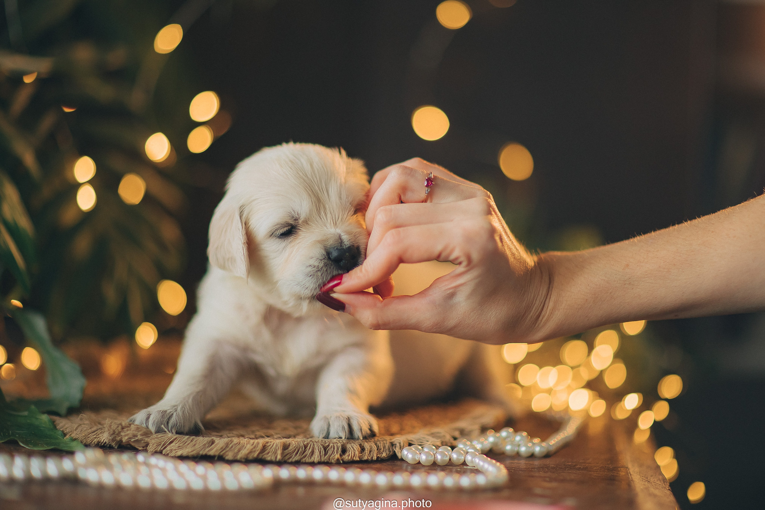 Белая лента. Свадебный и женский фотограф