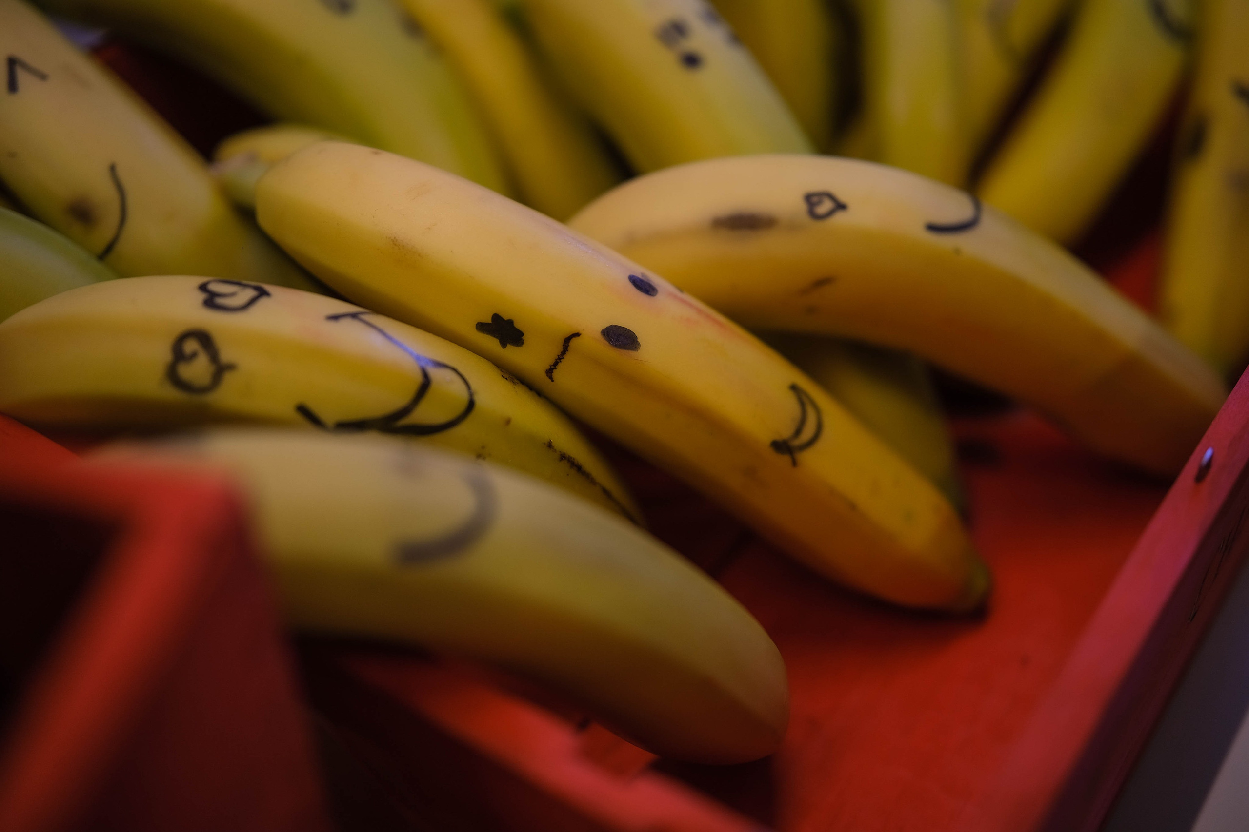 Девичник «Бегущая Невеста». Портретные и творческие съемки Санкт-Петребург