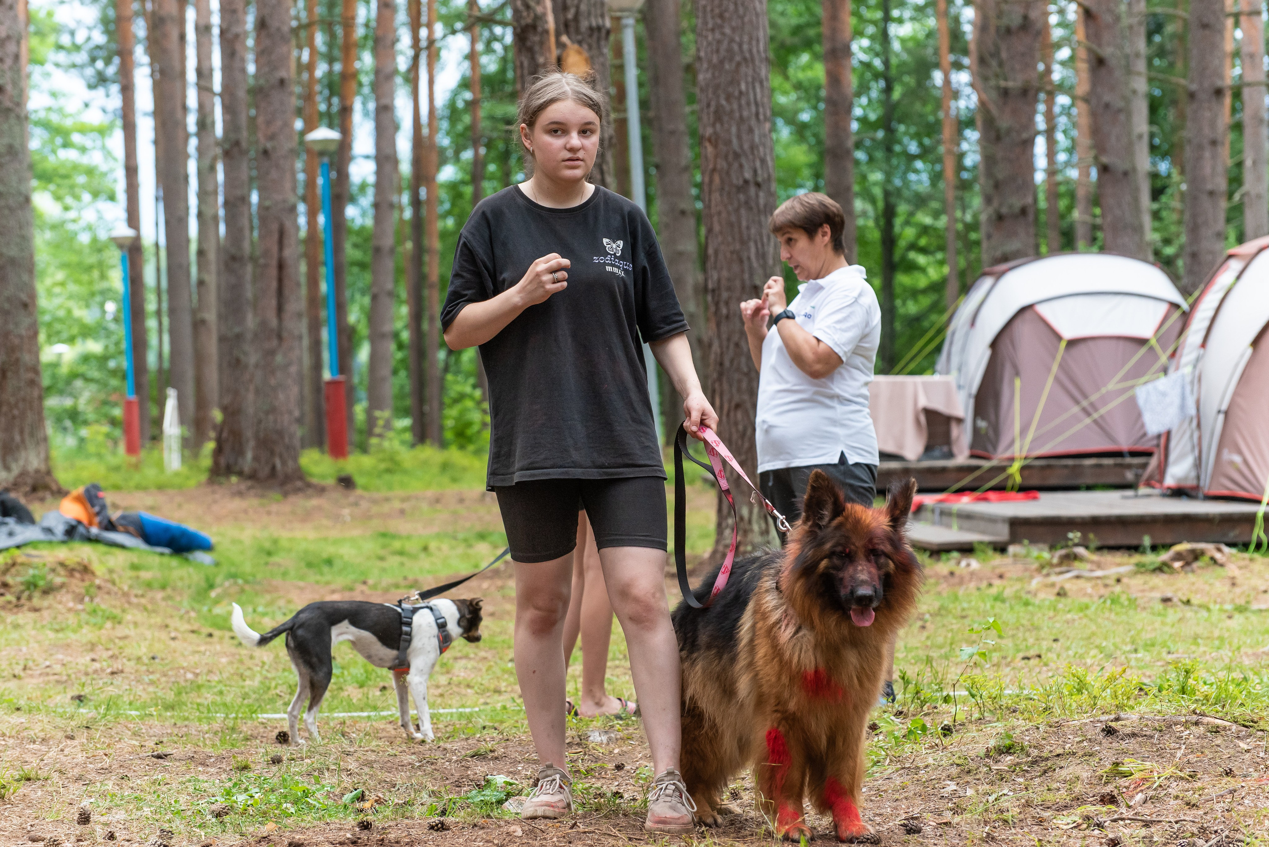 Хвостатые каникулы Детский кинологический лагерь. Фотограф Макс Огурцов в Нижнем Новгороде