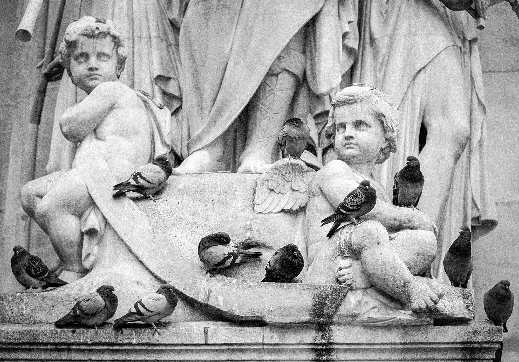 Свадебный фотограф в Геленджике