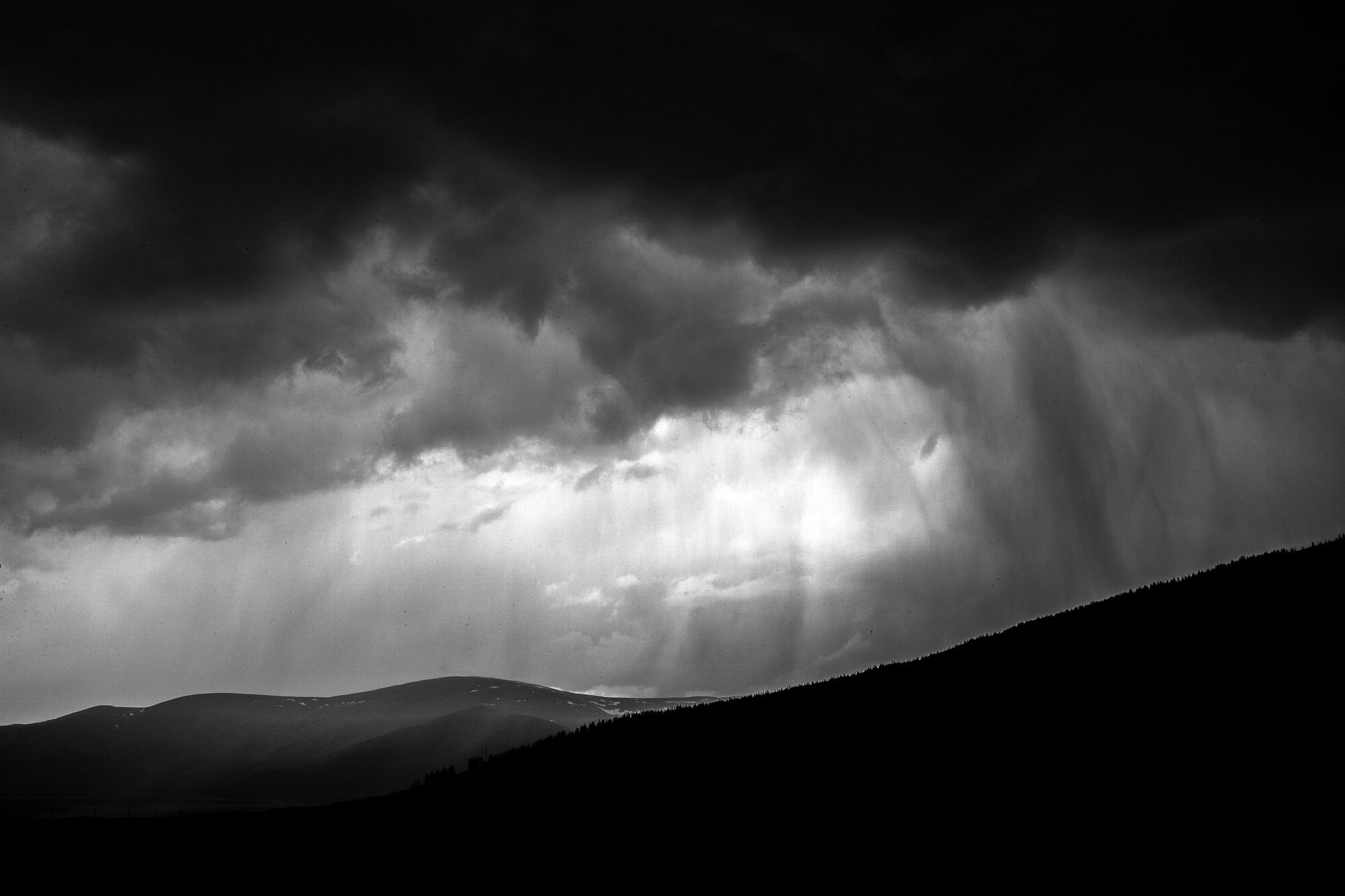 Свадебный фотограф в Геленджике