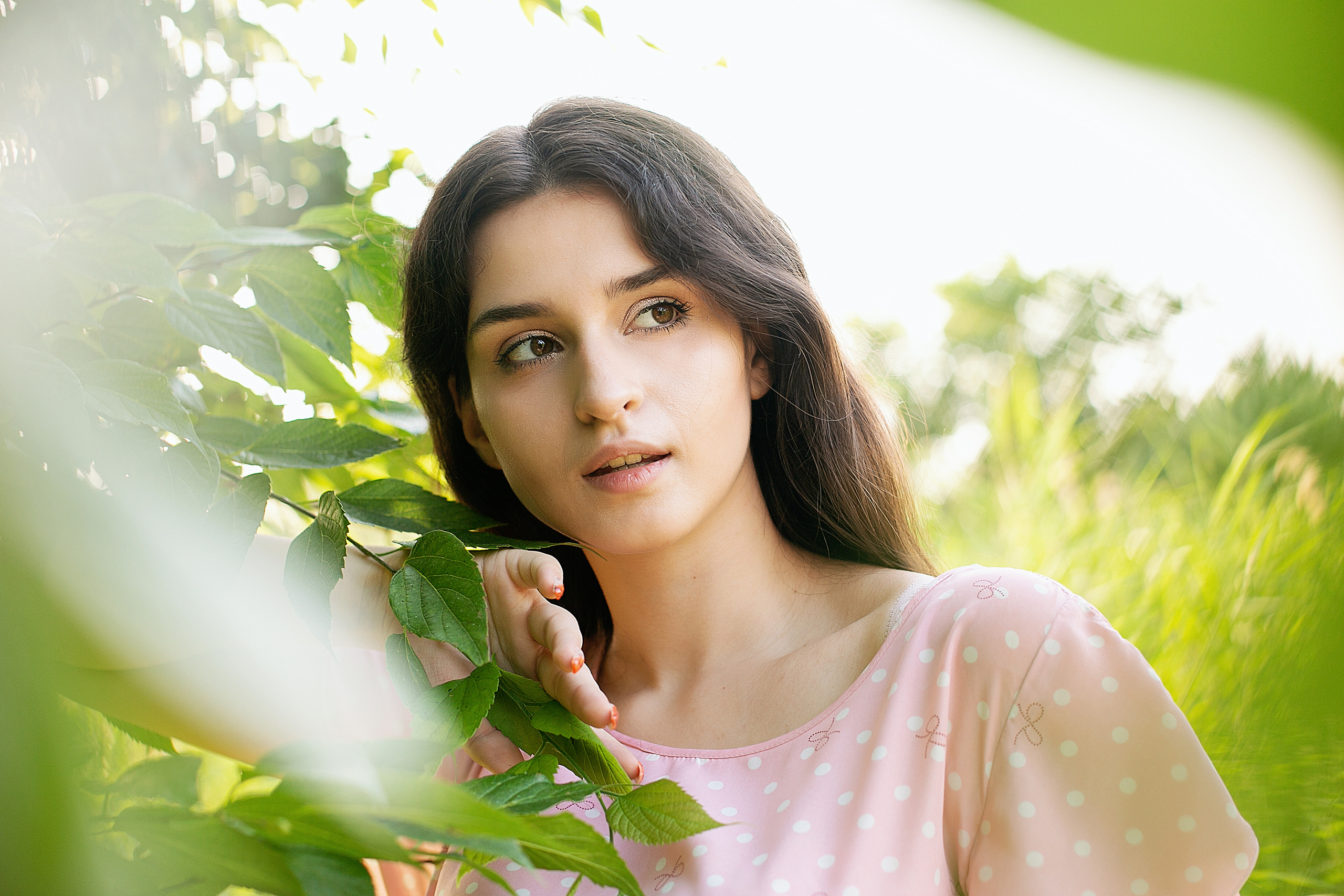 Солнечный день. Фотограф Богданенко Антон