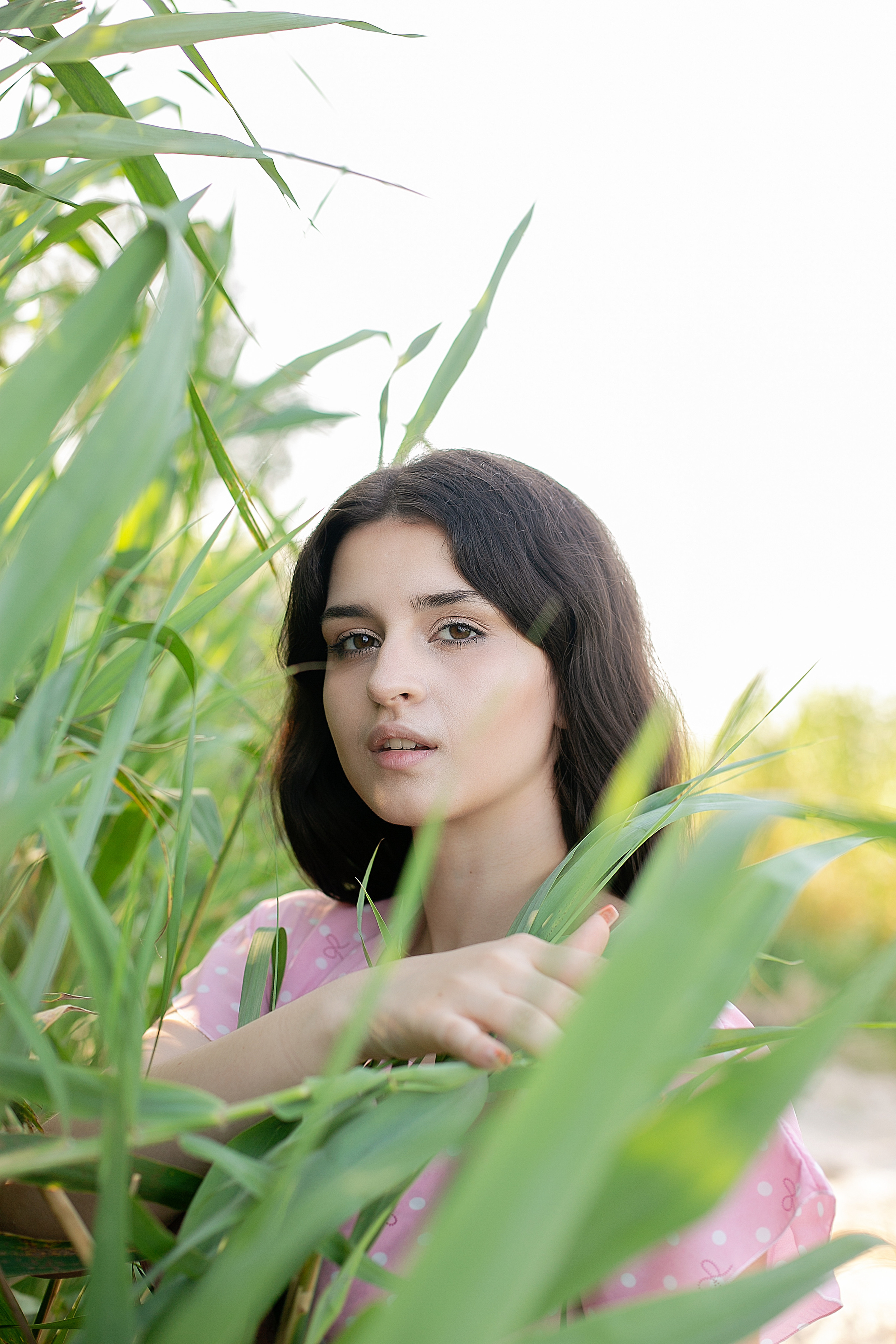 Солнечный день. Фотограф Богданенко Антон