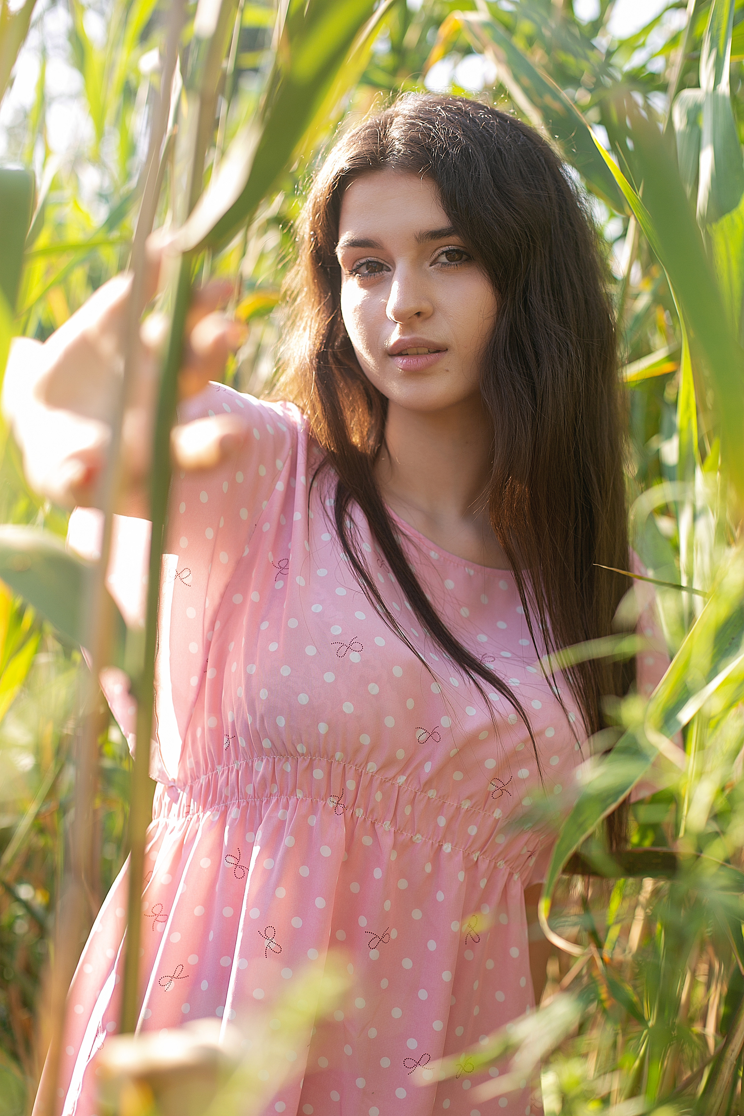 Солнечный день. Фотограф Богданенко Антон