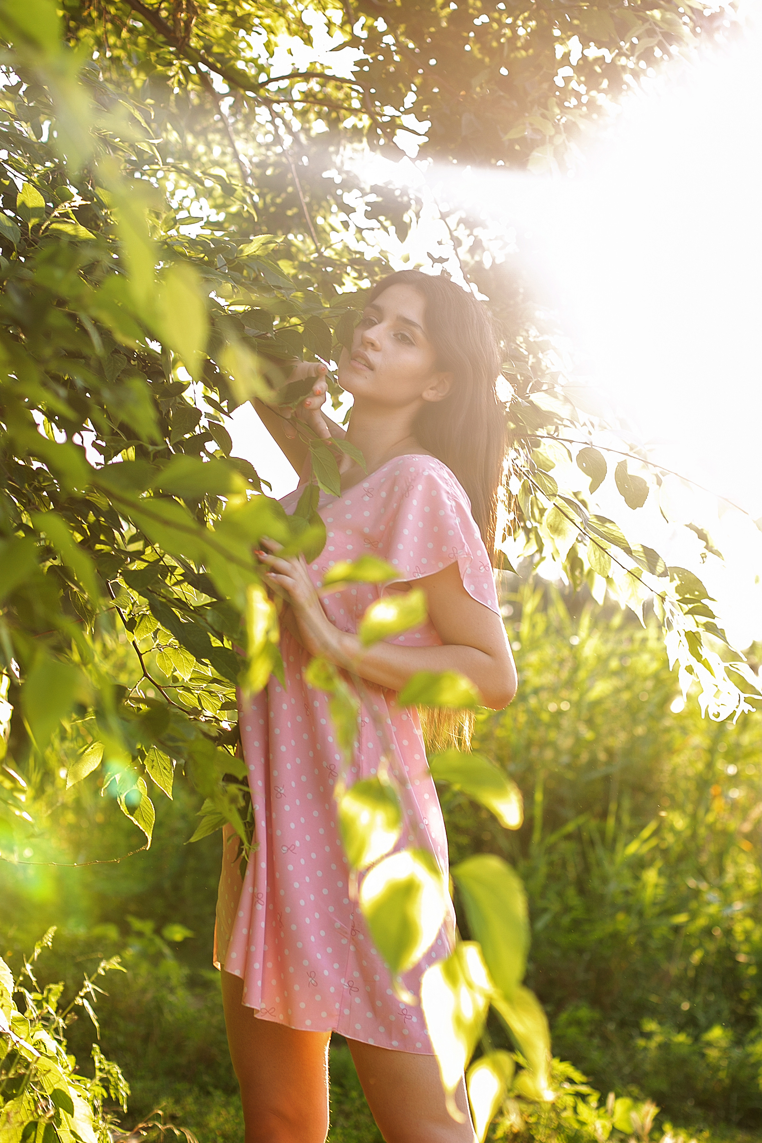 Солнечный день. Фотограф Богданенко Антон