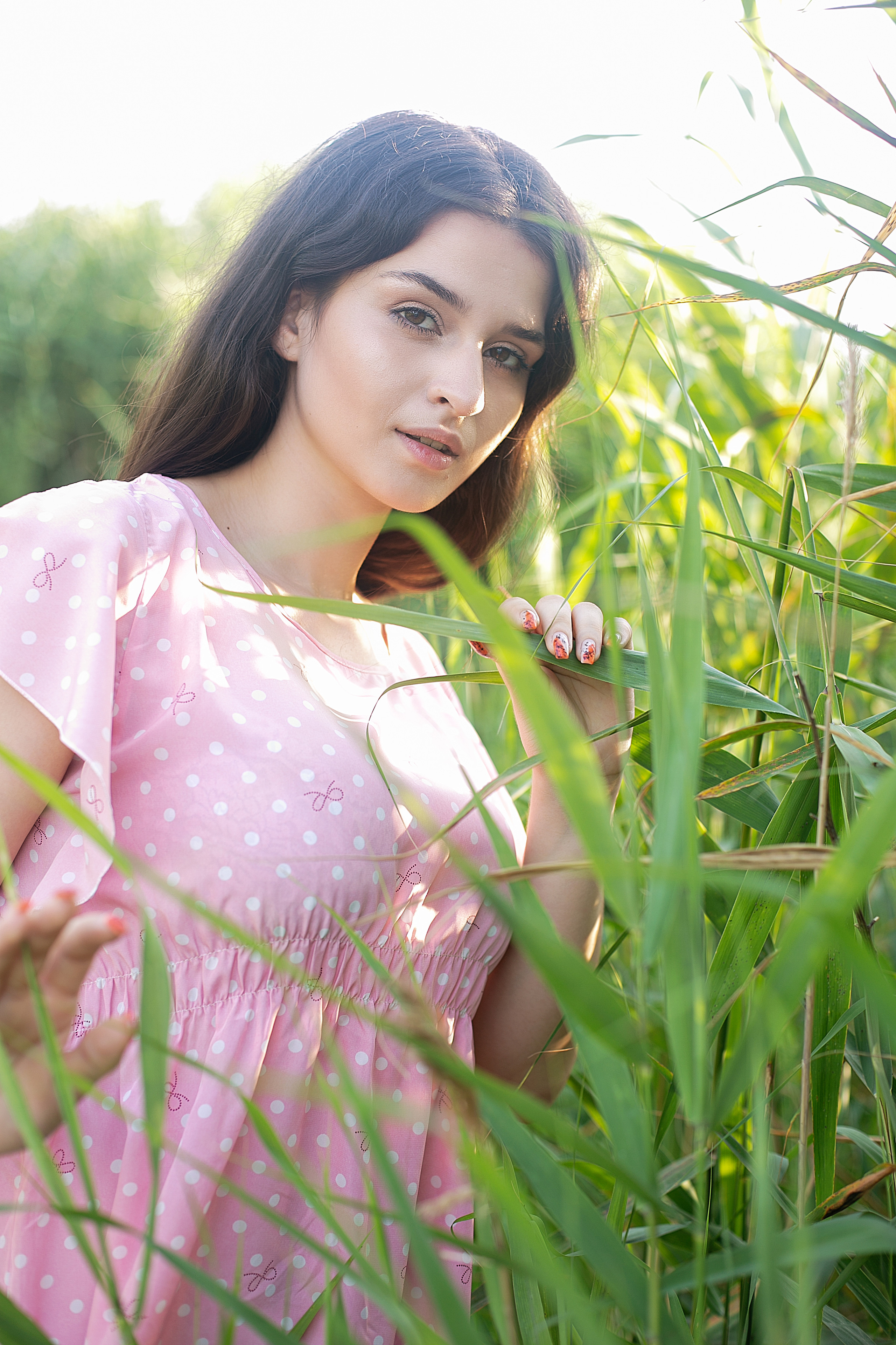 Солнечный день. Фотограф Богданенко Антон