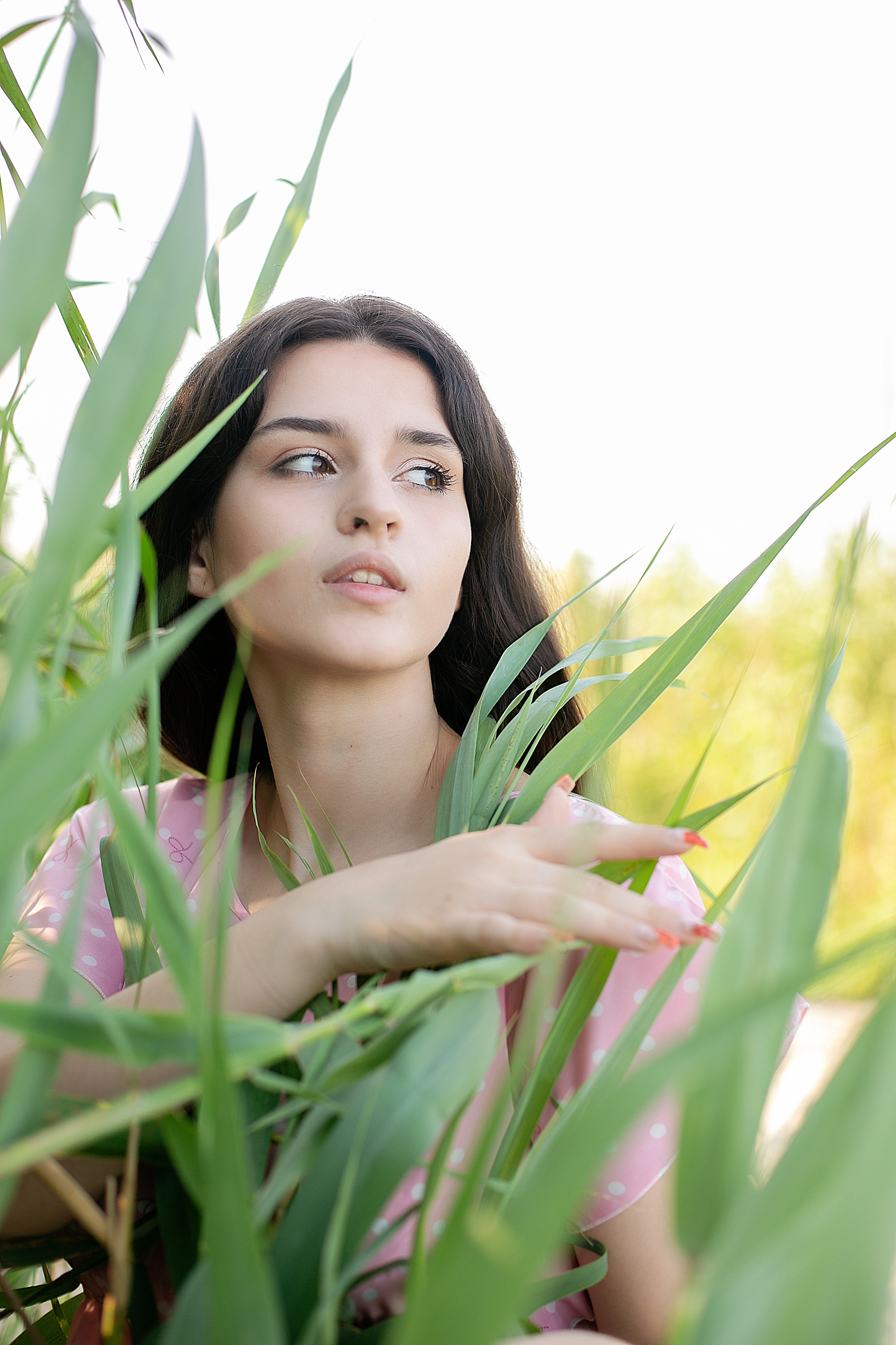 Солнечный день. Фотограф Богданенко Антон