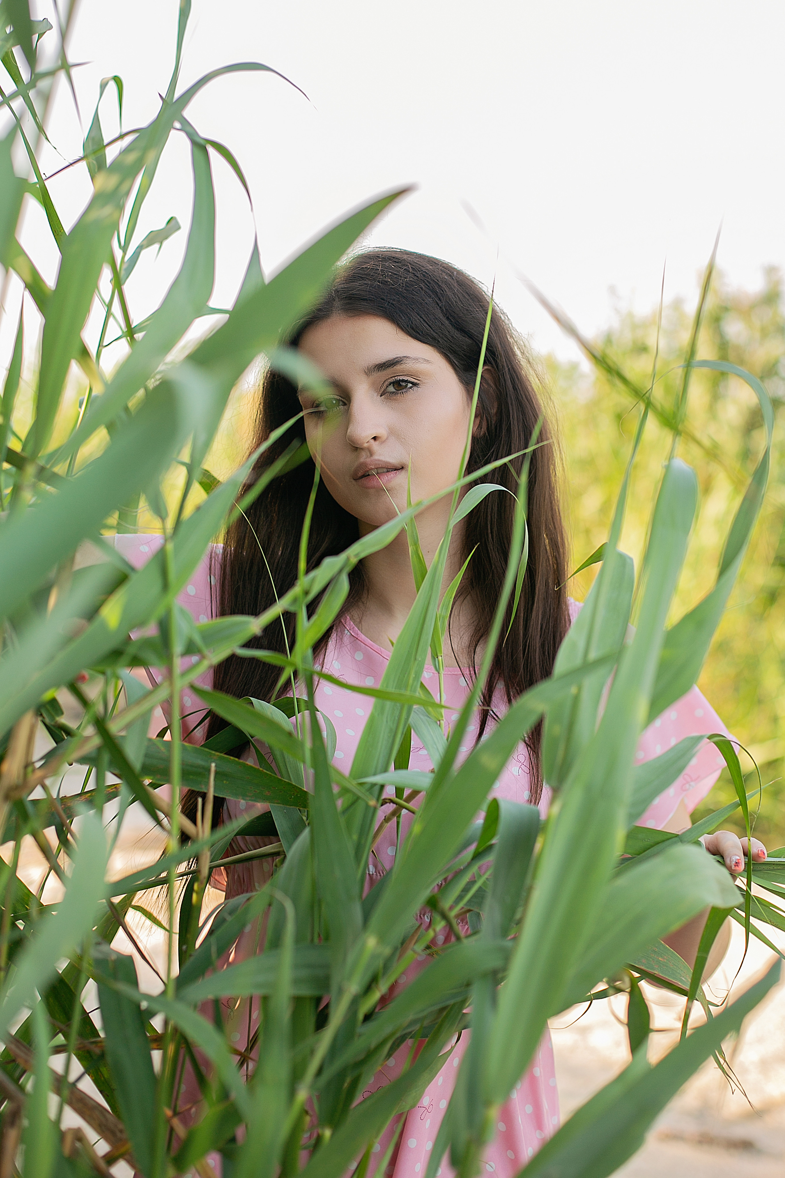 Солнечный день. Фотограф Богданенко Антон