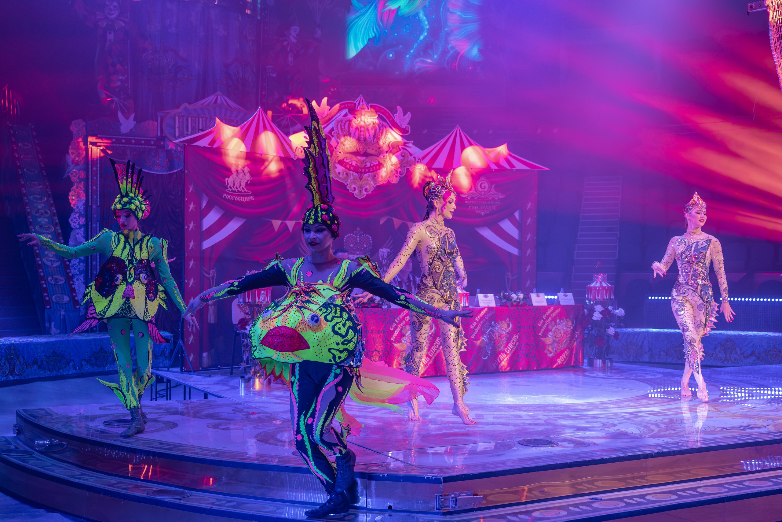 Цирк Гии Эрадзе. Наталья Слесаренко фотограф в Сочи