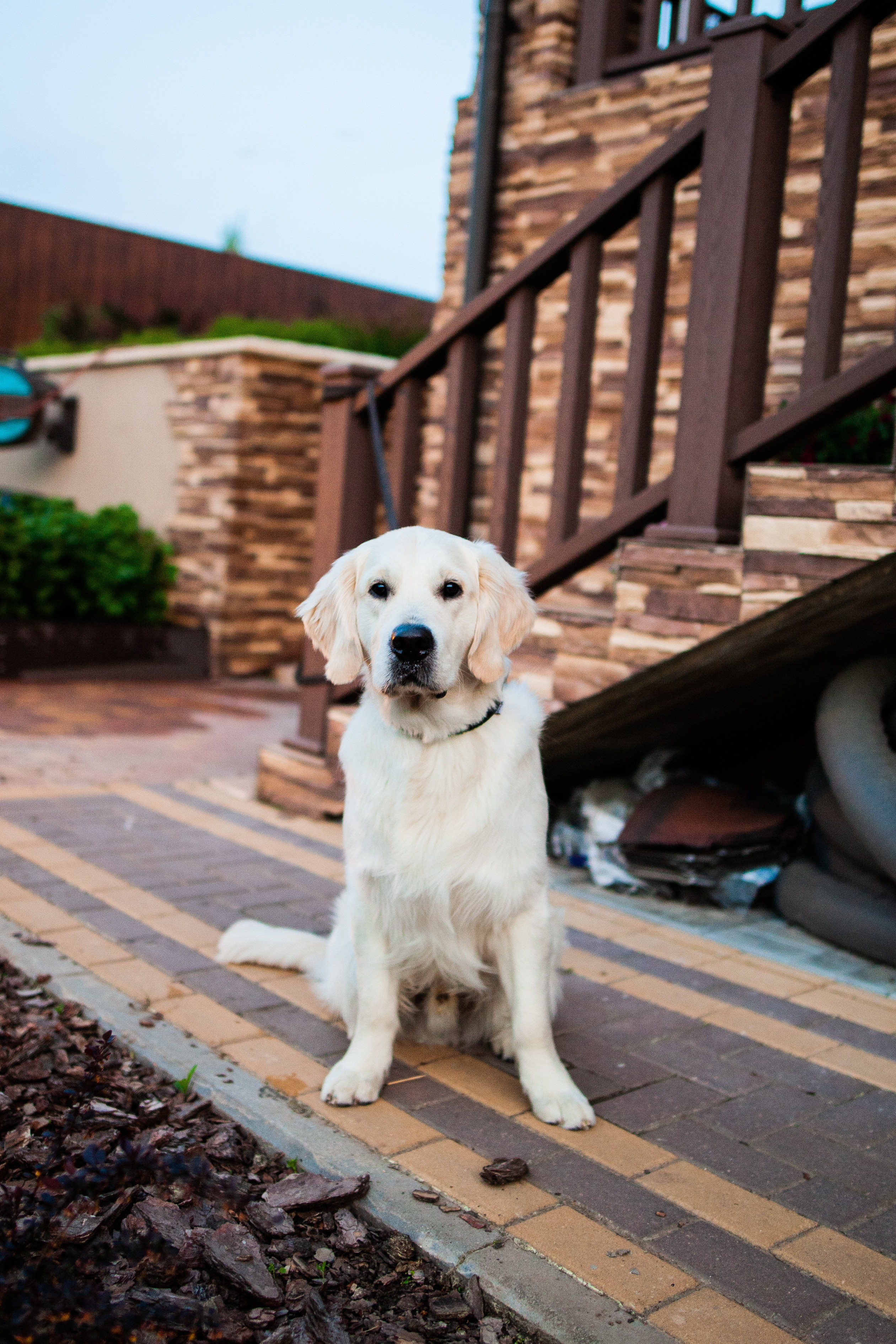 Семейная фотосессия дома, Нижний новгород.репортажная съемка дня рождения. Фотограф на крещение и венчание в Нижнем Новгороде.Свадебный Фотограф