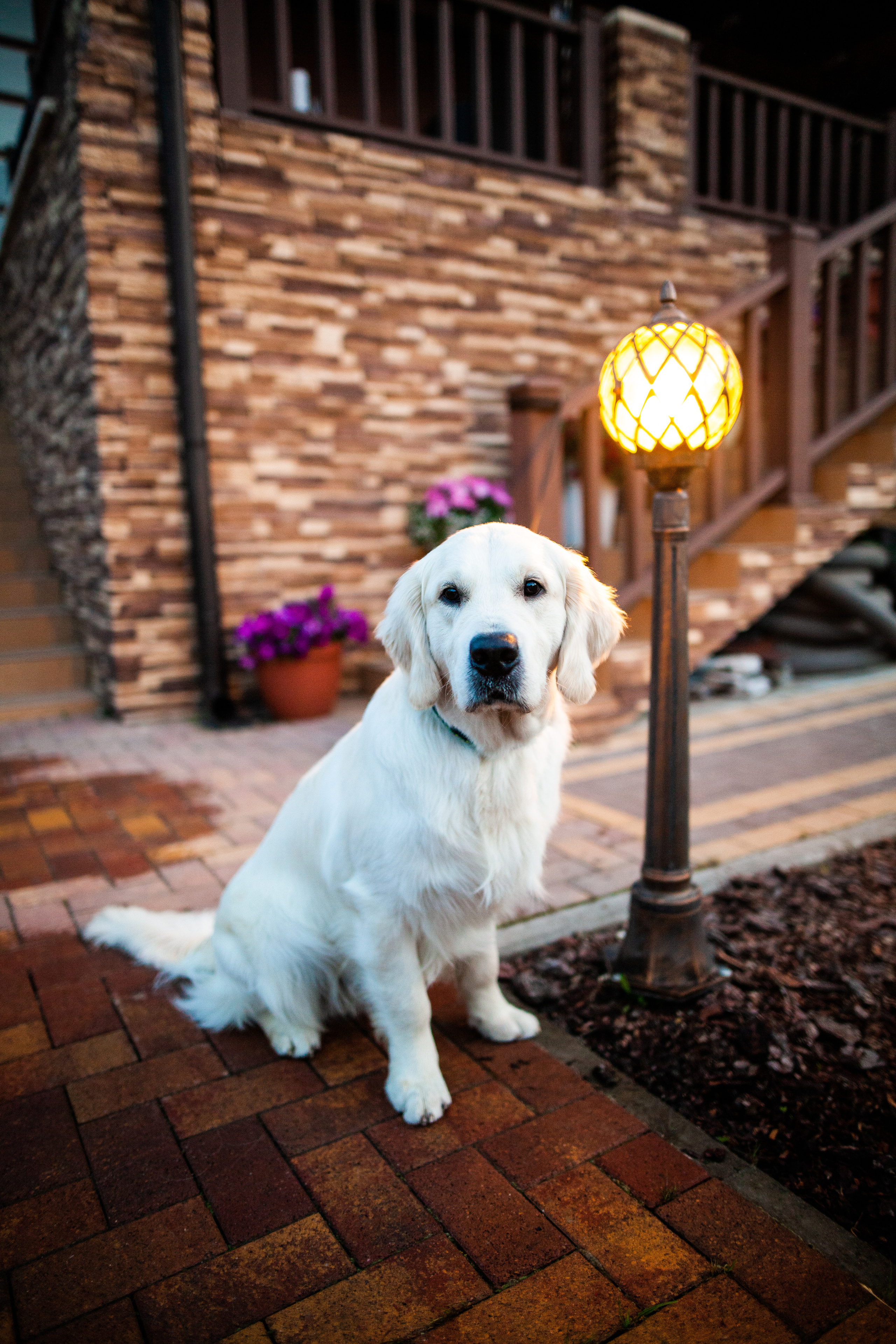 Семейная фотосессия дома, Нижний новгород.репортажная съемка дня рождения. Фотограф на крещение и венчание в Нижнем Новгороде.Свадебный Фотограф
