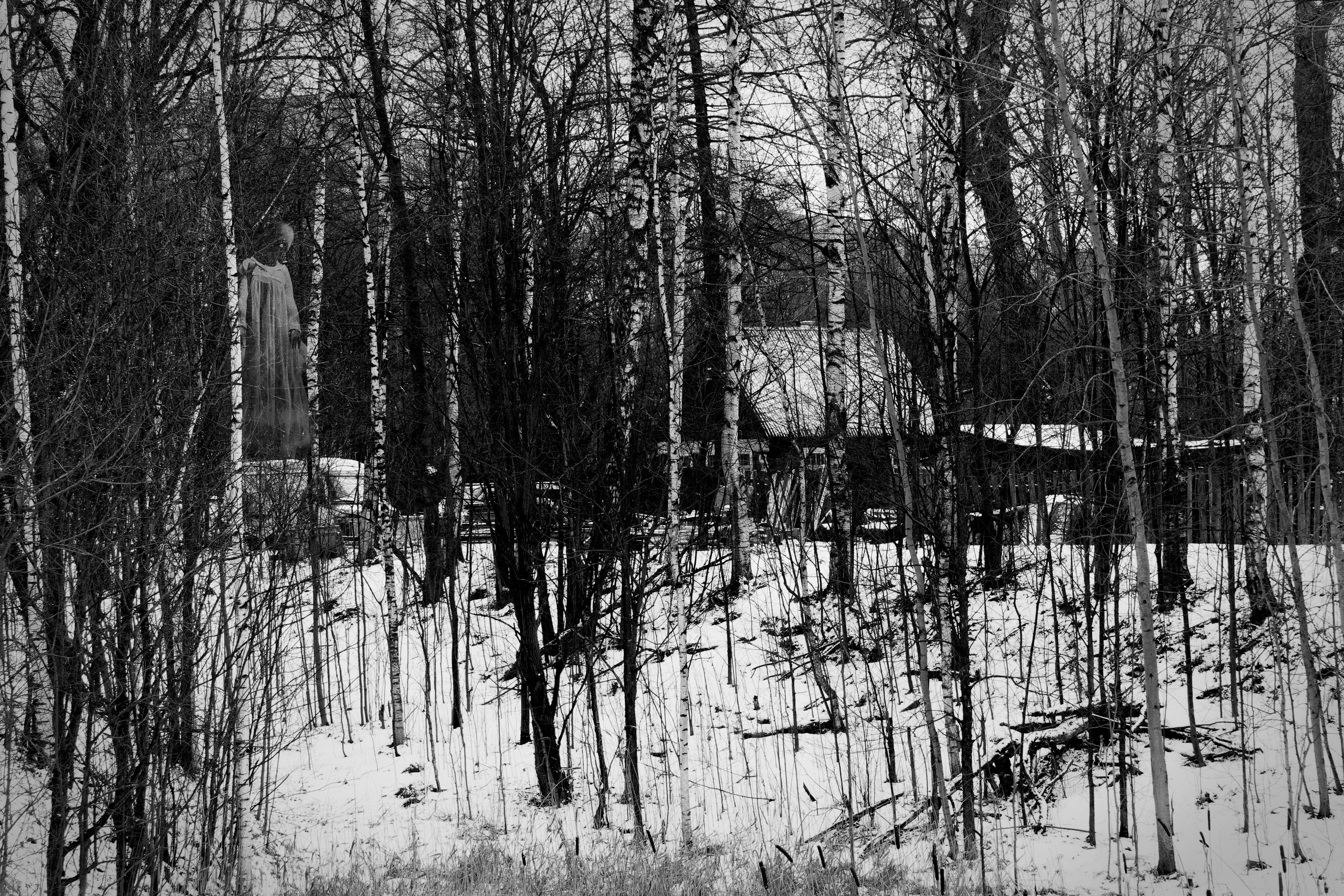 Bardo. Роман Ходырев — художник, фотограф, музыкант, эзотериолог. Санкт-Петербург, Рига