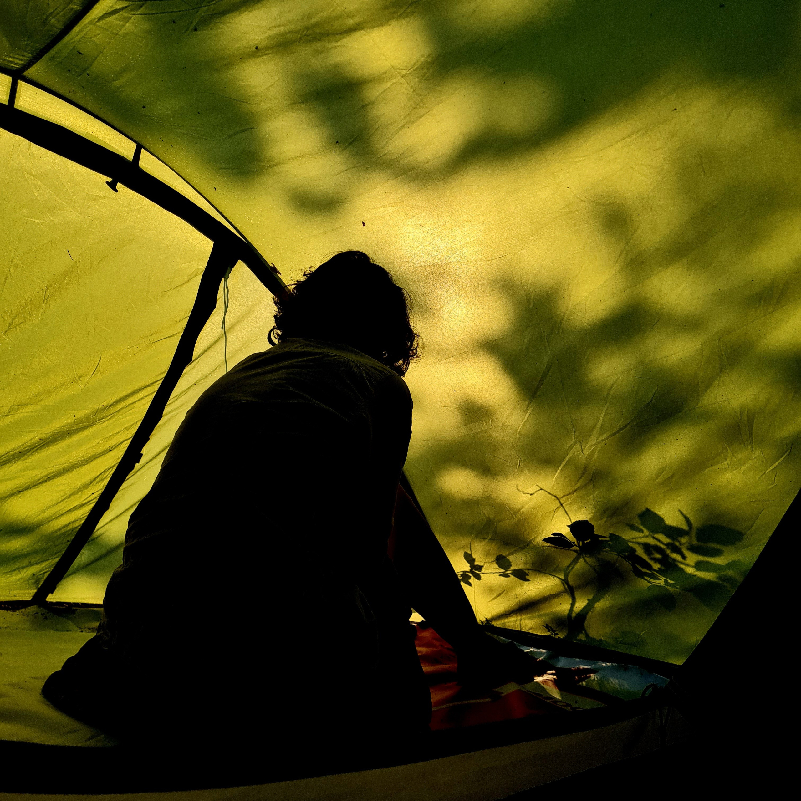 И вокруг меня. Портретный и концертный фотограф в Санкт-Петербурге Егор Телятников