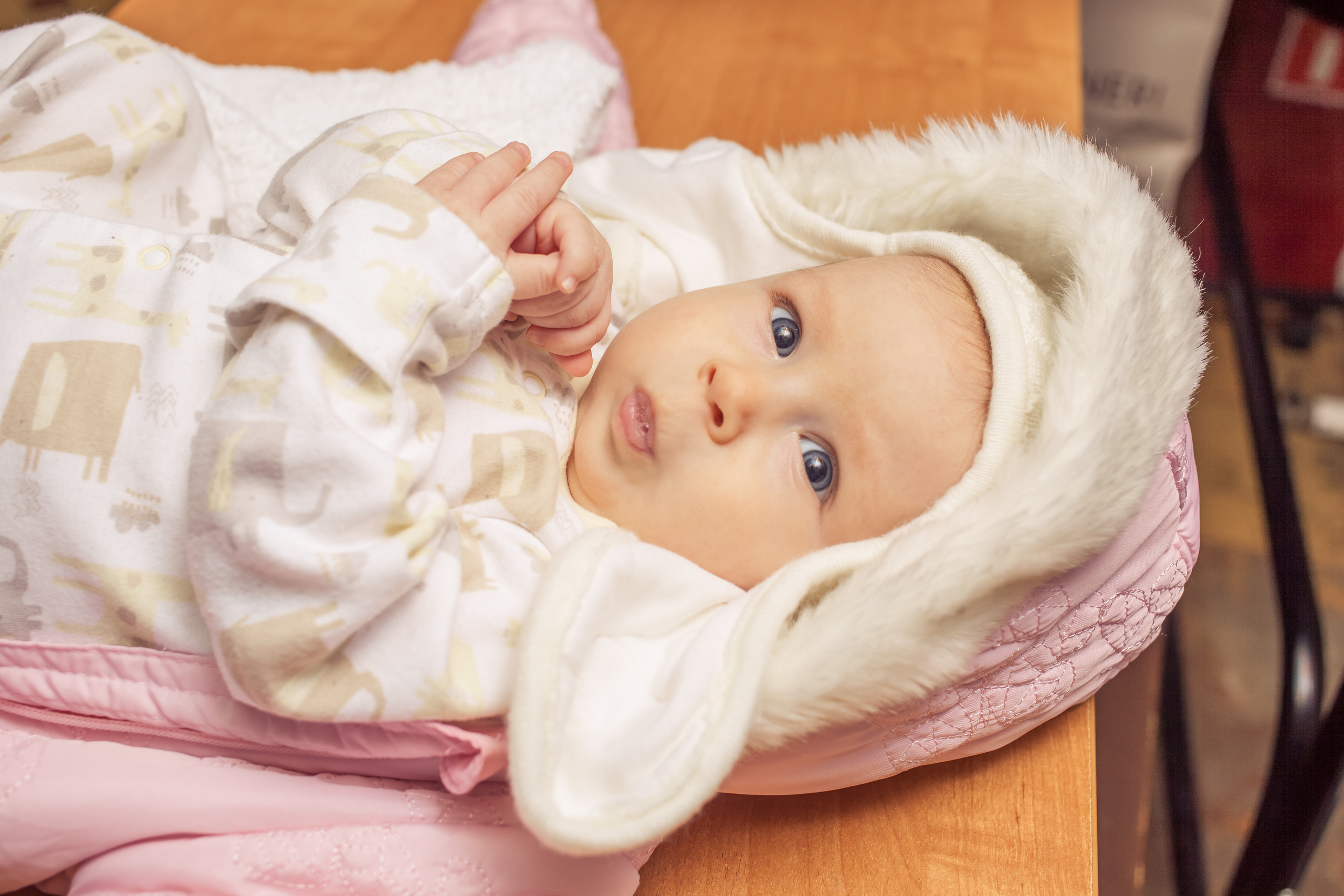 КРЕЩЕНИЕ. Фотограф Алина Гашникова