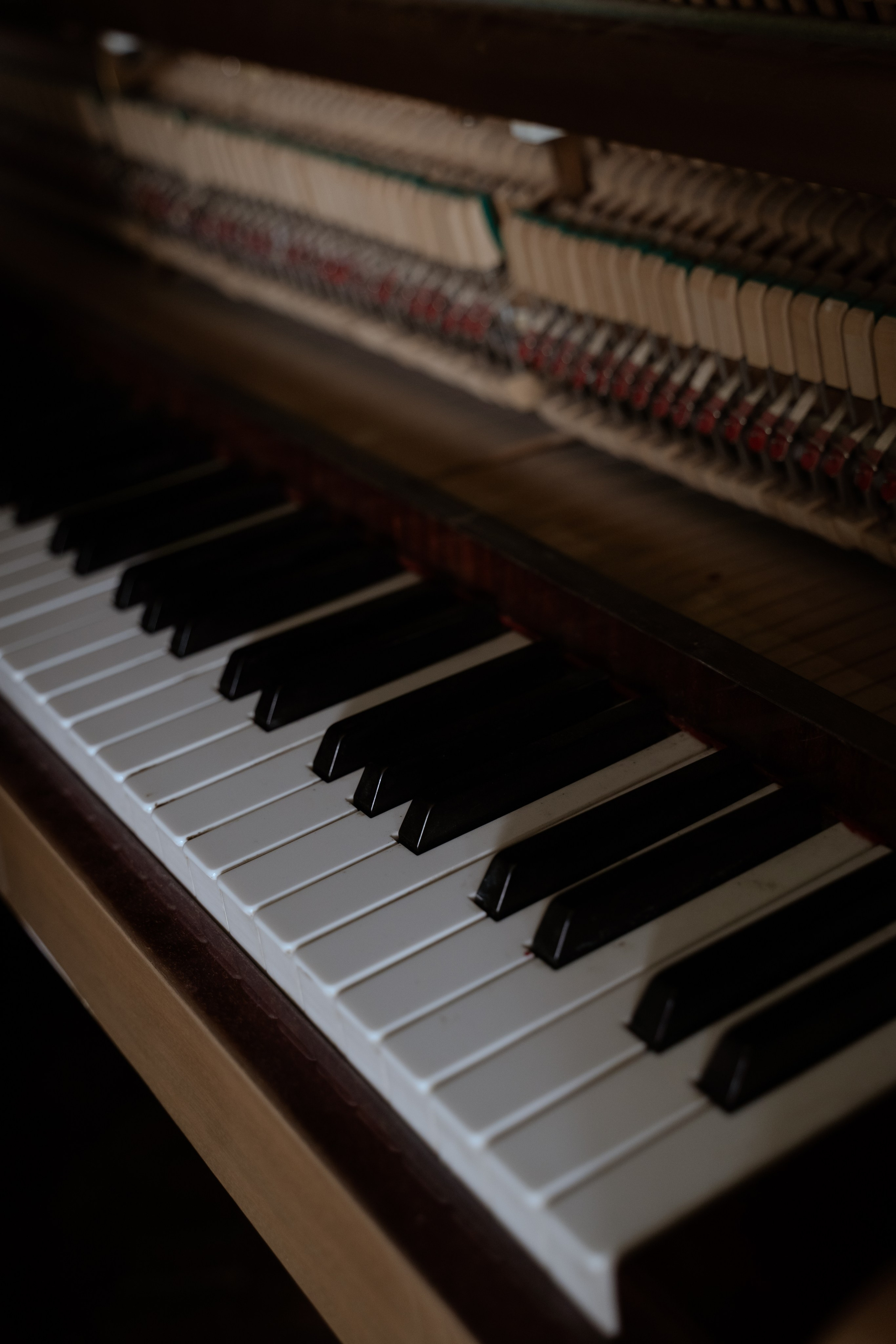 The Secret Garden. Портретный фотограф в Краснодаре Валерия Матирная