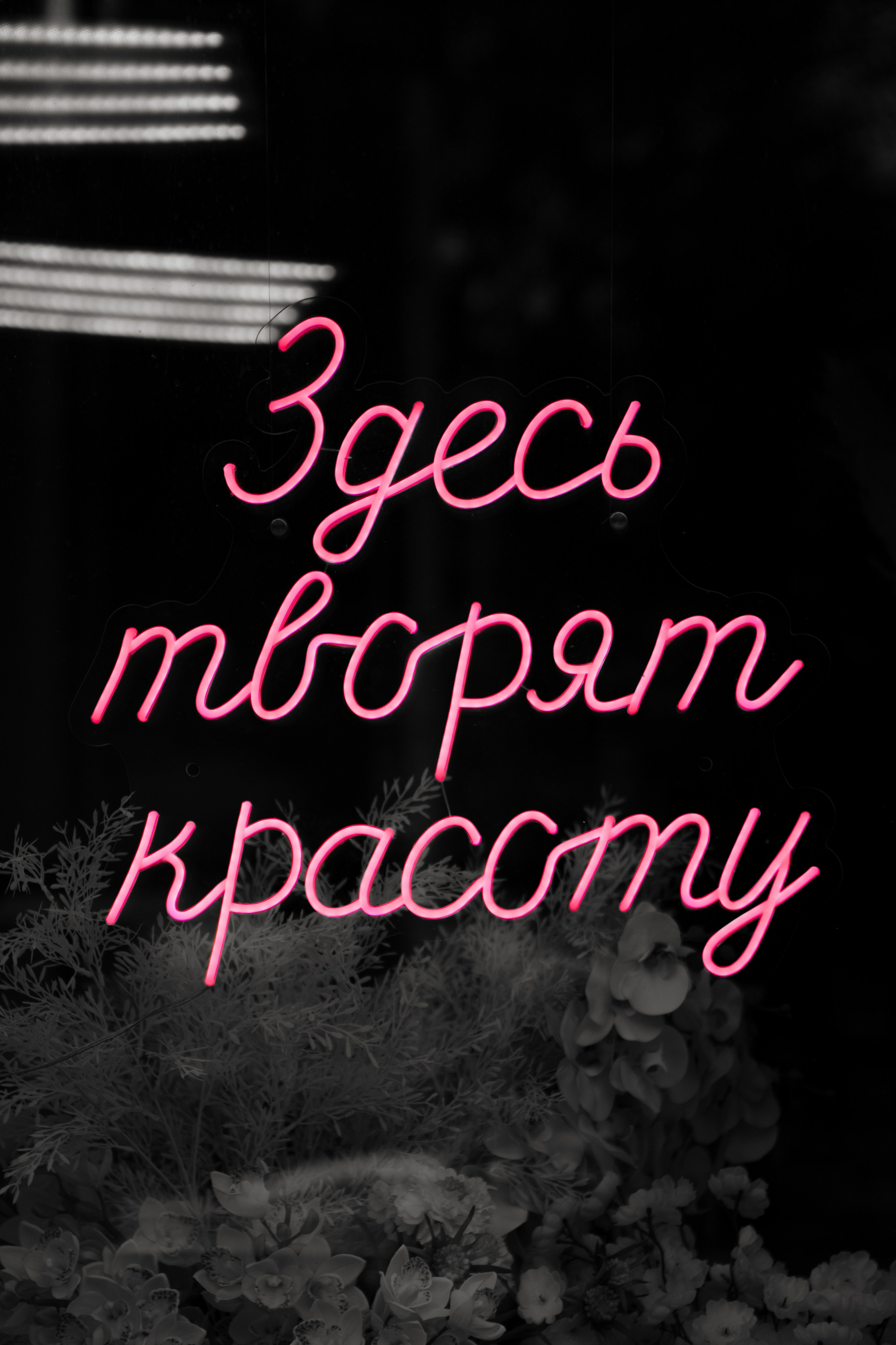 Свадьба Егора и Маши. Фотограф Кольчугино/Владимир/Москва Елизавета Иода