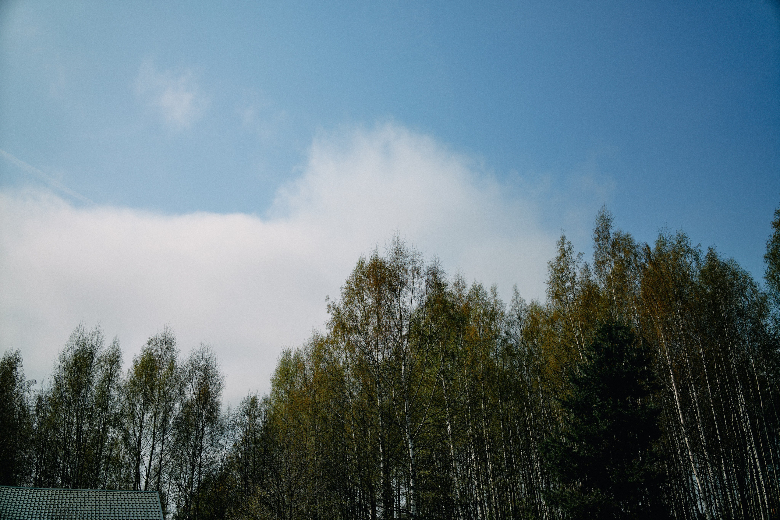 Бутик-отель Поле летом. Профессиональный Фотограф во Владимире, в Москве и в Суздале — Полина Романычева