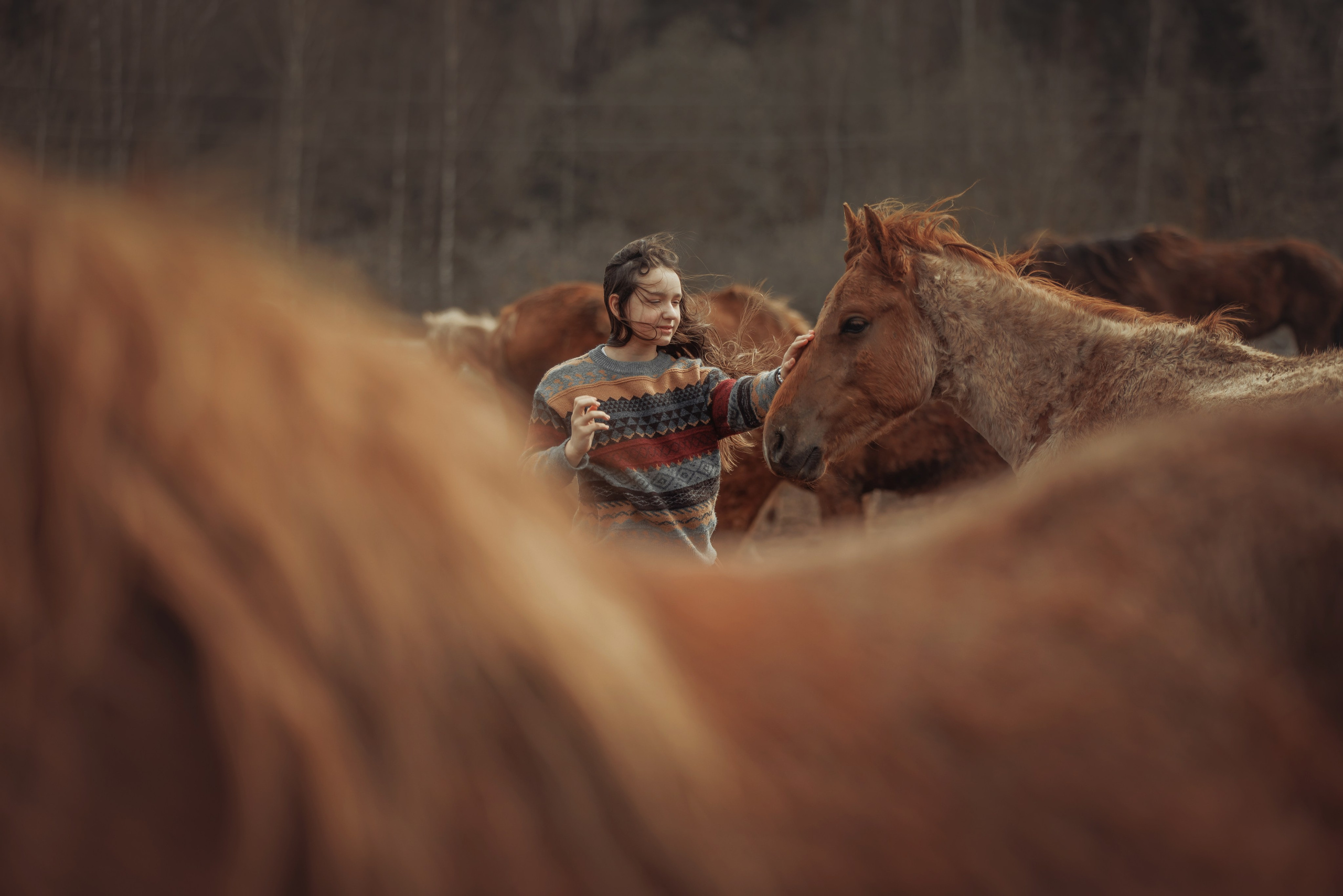 Детская конная съёмка. Детская Конная фотография в Москве Юлия Шепелева