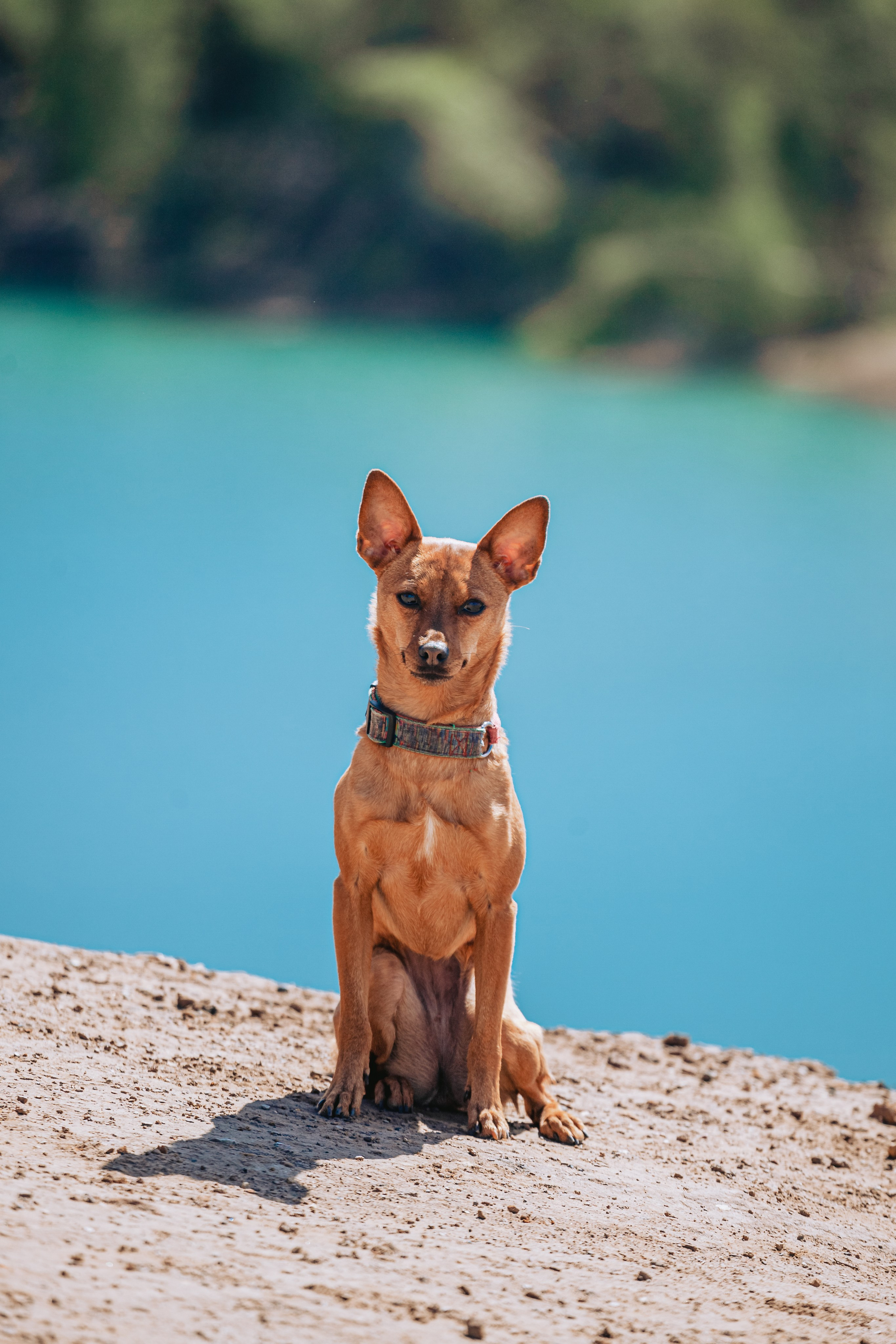 Кондуки. Фотограф-анималист Татьяна Степанова