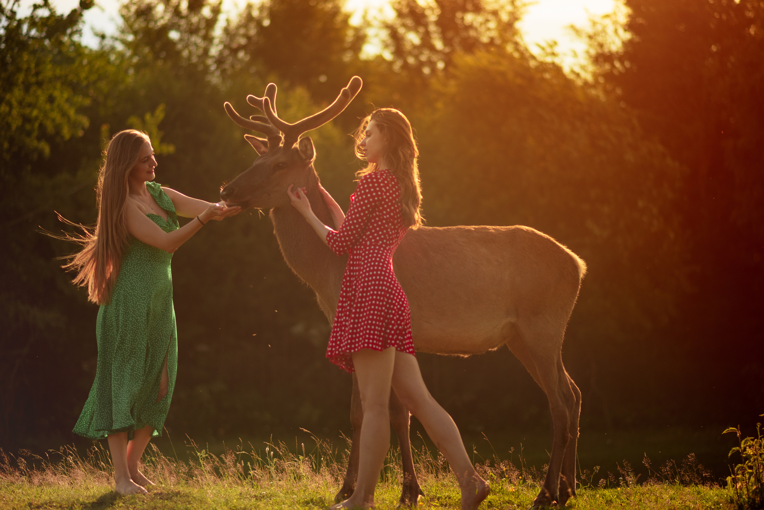Андрей Рэй портфолио фотографа