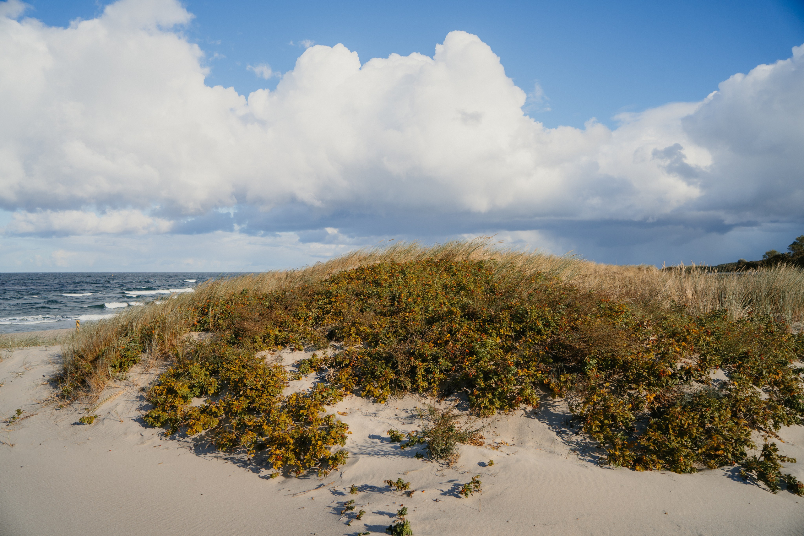 Балтийск/Калининград. Свадебный и семейный фотограф/видеограф в Краснодаре Наталья Осинская